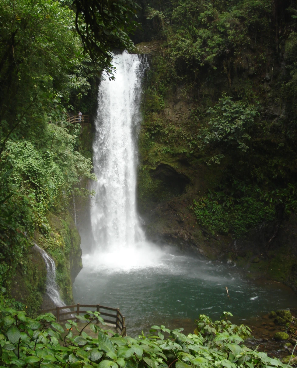 A picture of a beautiful waterfall surrounded by lush green forest.