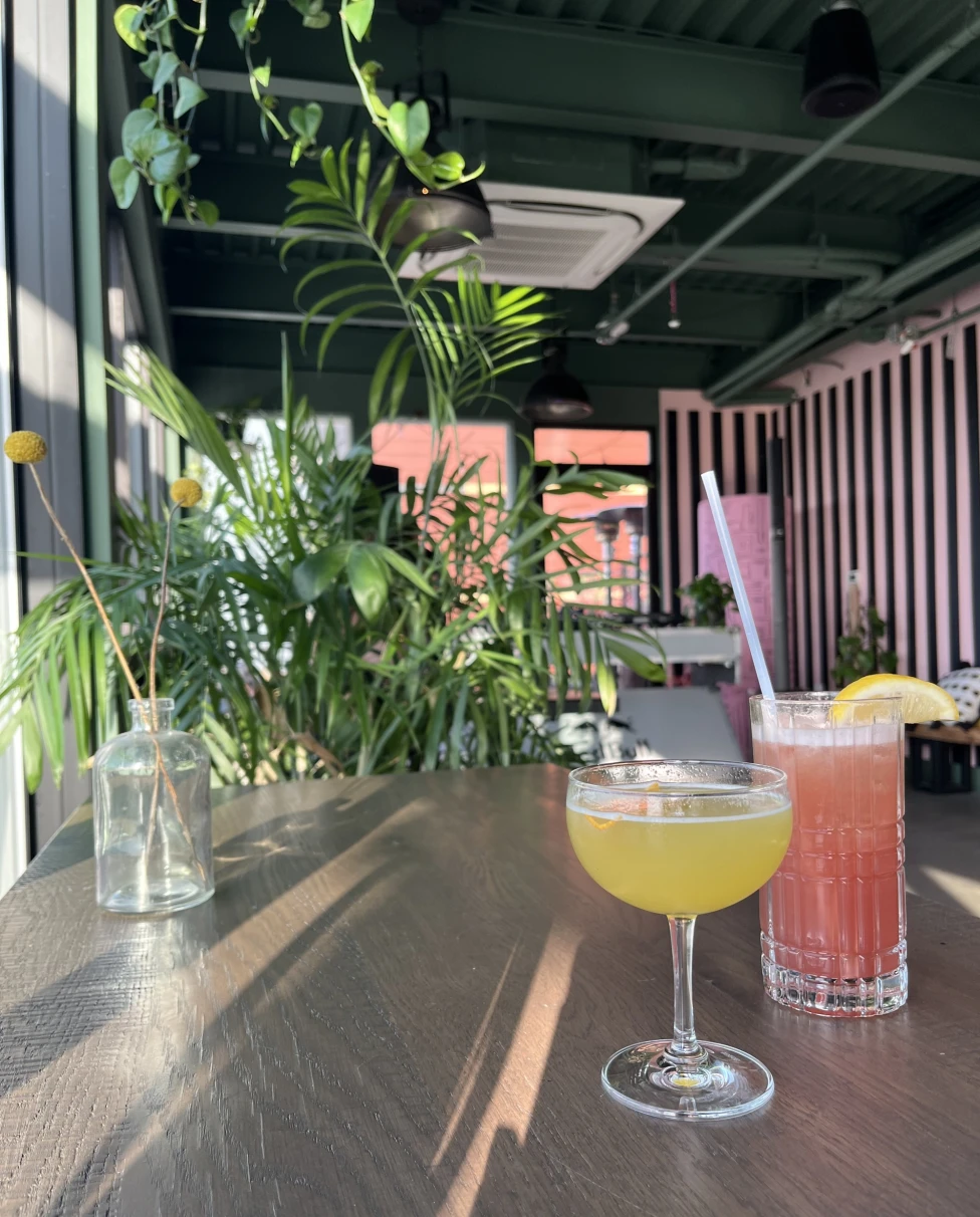 a yellow and pink cocktail on a table at a bar with tropical potted plants