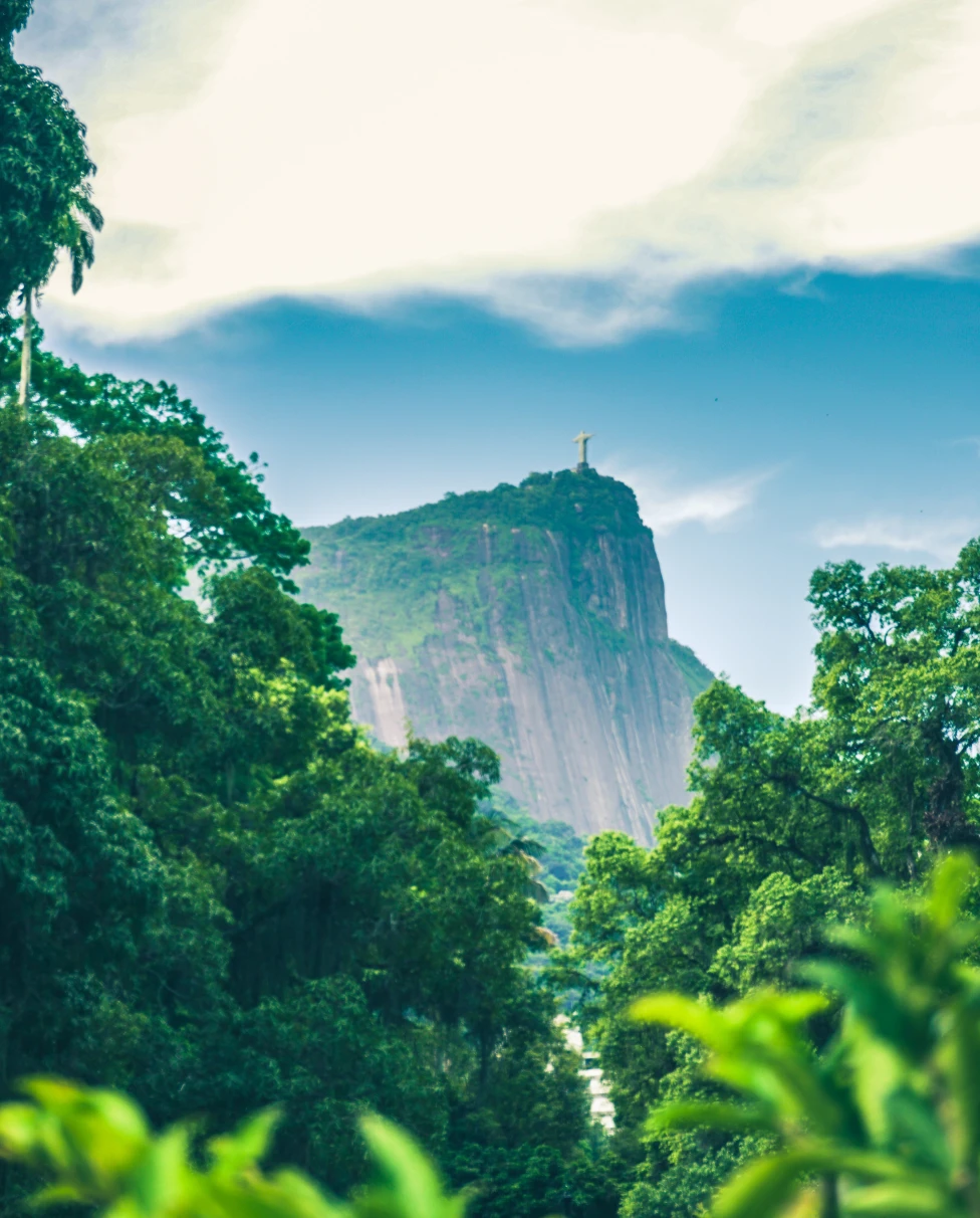 Views of the mountains in Rio.