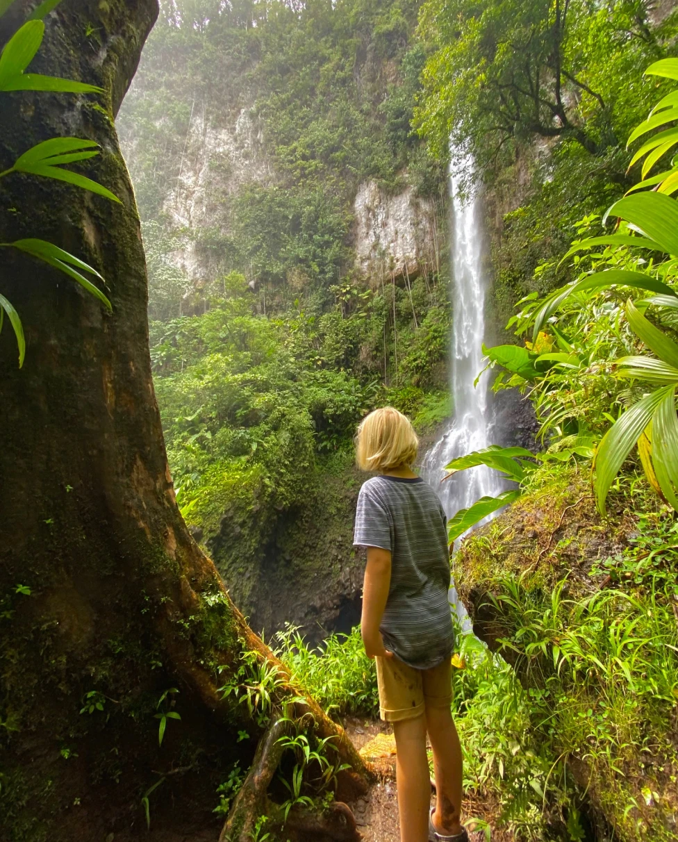 woman standing next to tree with waterfall in background during daytime