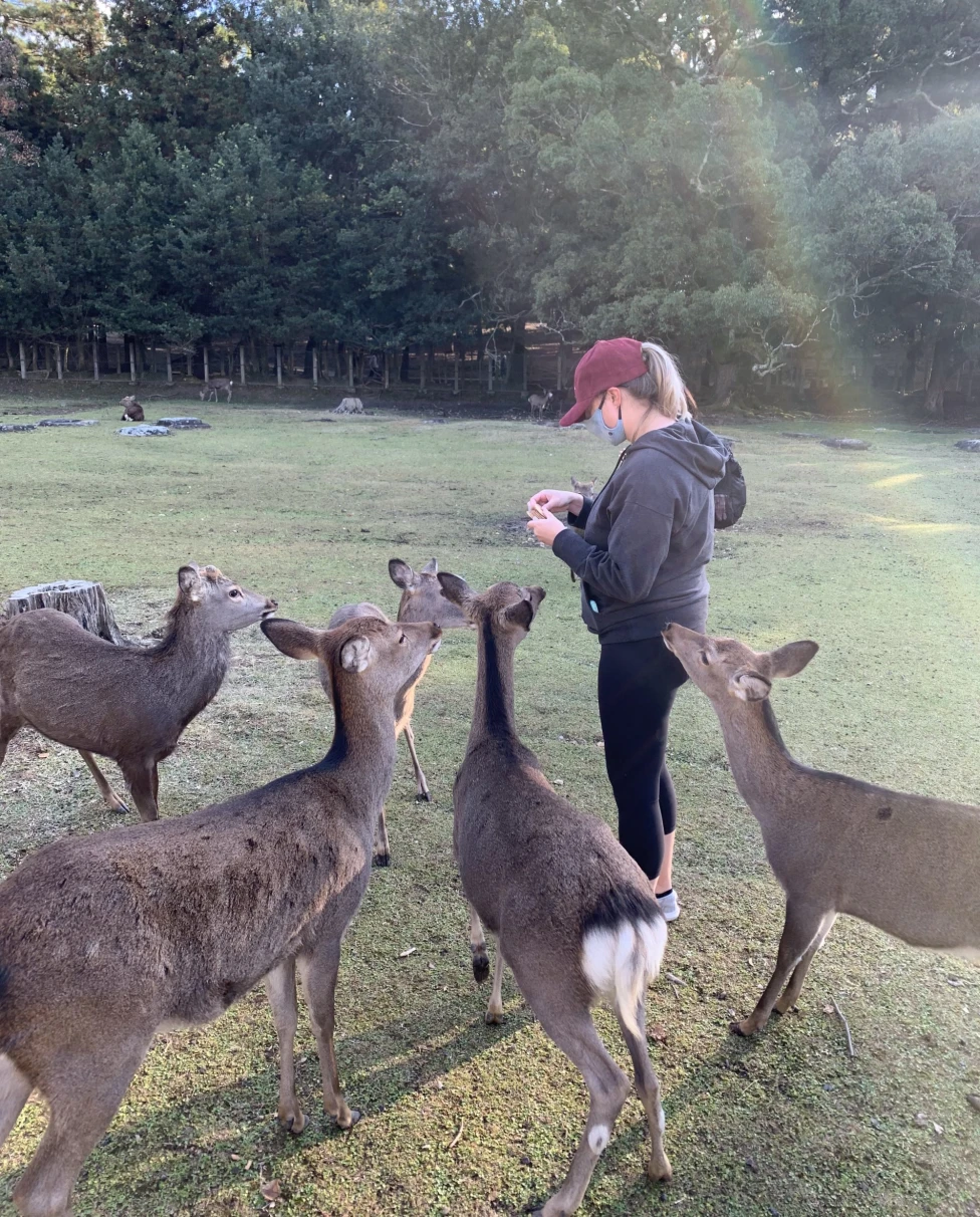 A woman standing among deer in a green field.