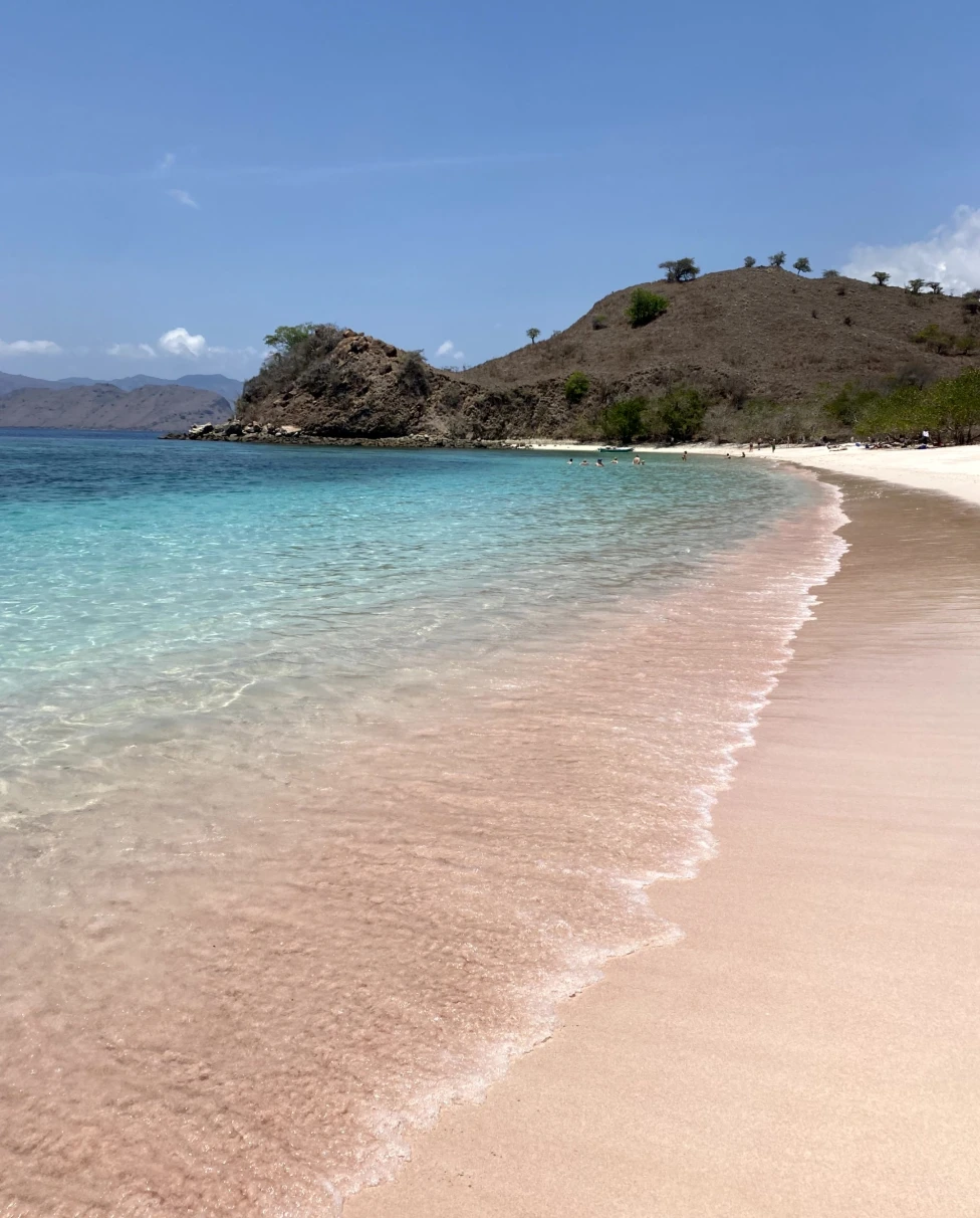 A picture of a pink colored sand beach with clear skies, blue water and tropical foliage in the distance.