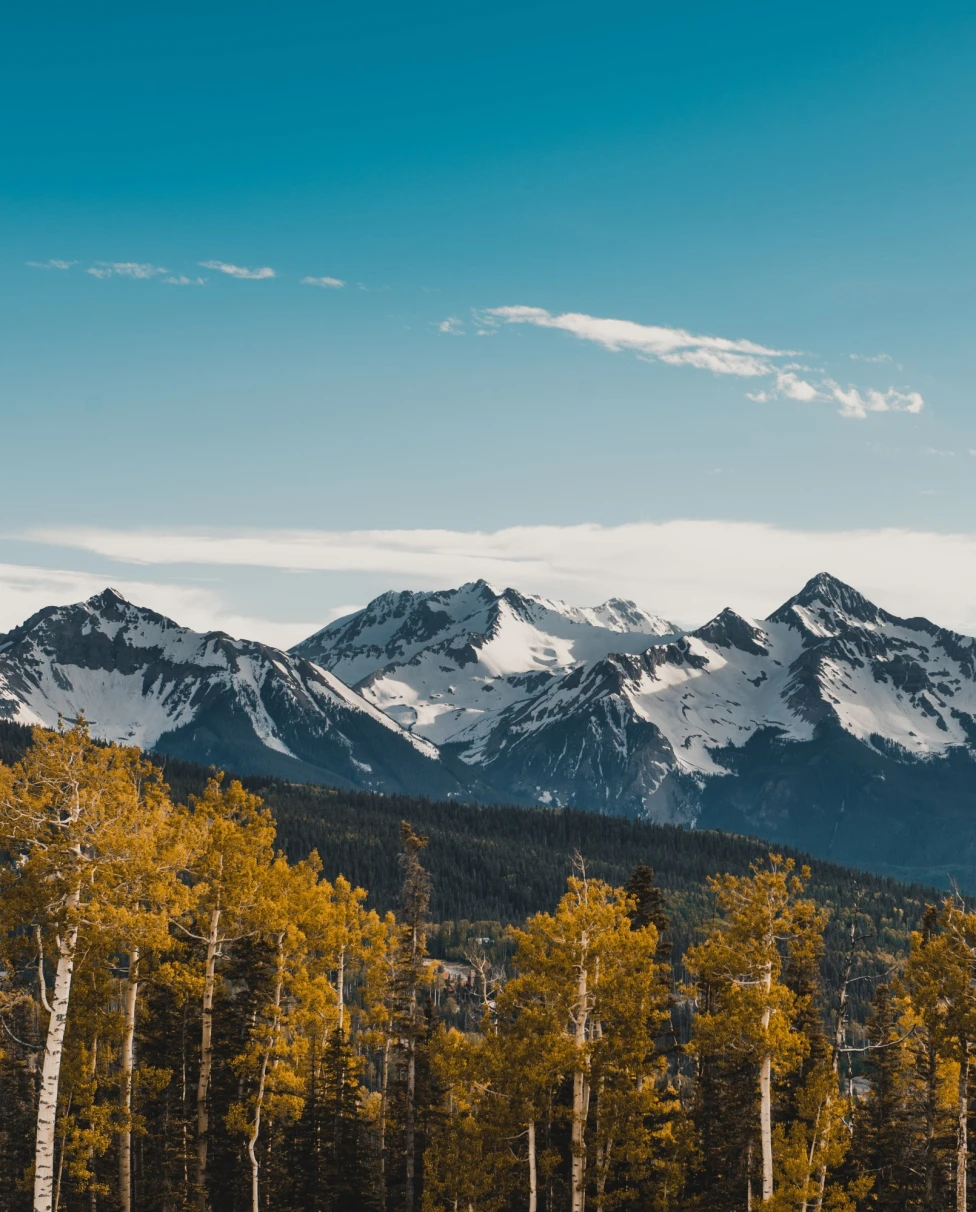 Snow covered mountains with trees in the front.