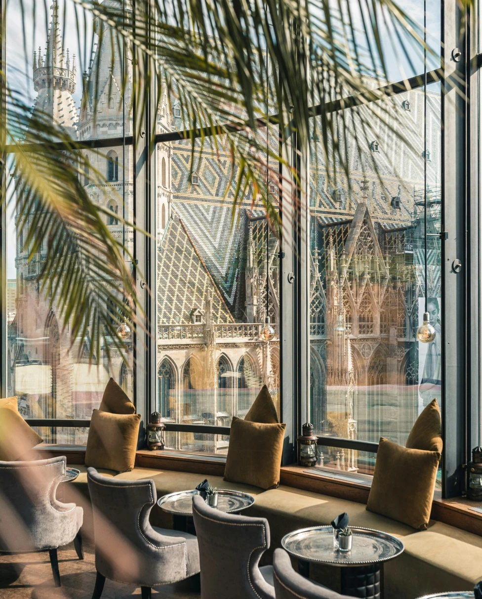 A picture of brown and white chairs and tables at a restaurant with large windows and plants.
