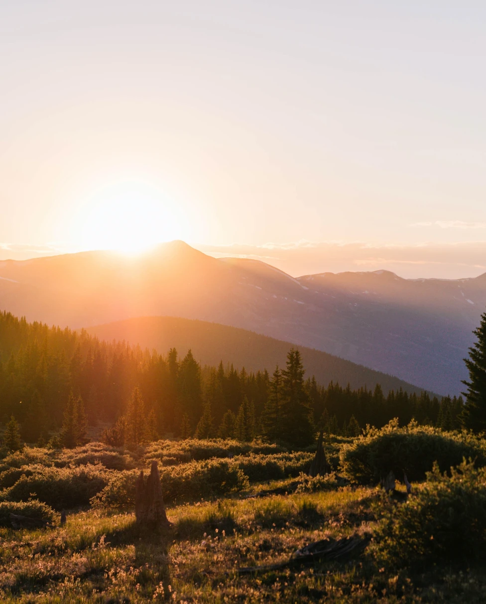 mountain with trees during sunset