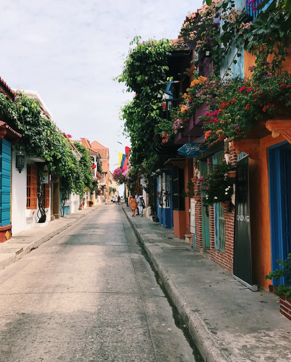 Colorful streets and vines of Cartagena, Colombia.