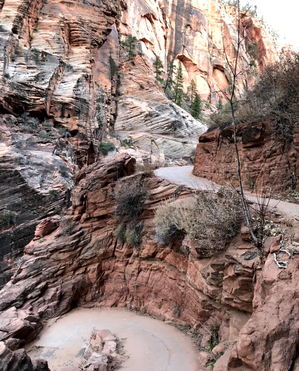 Zion National Park orange cliffs.