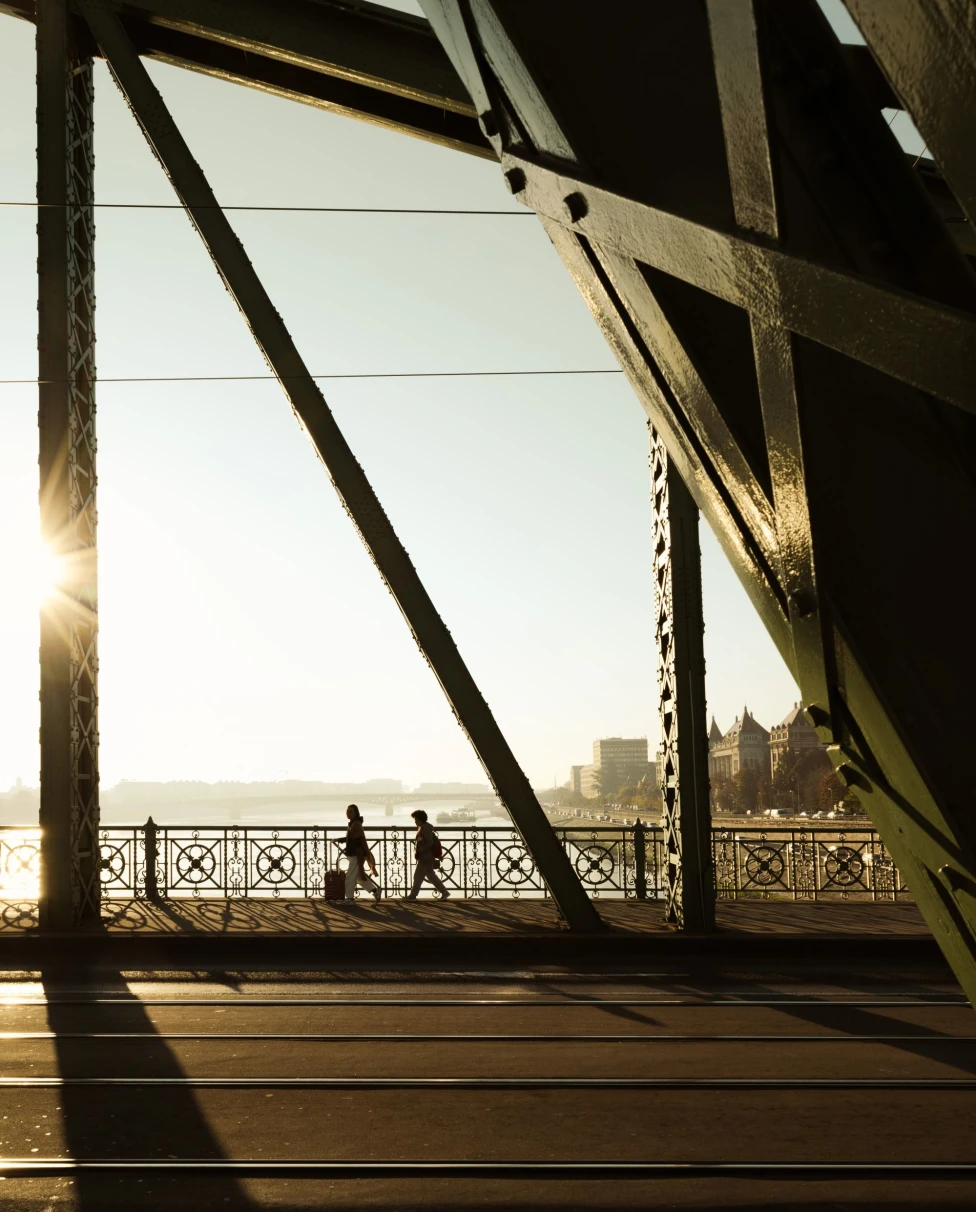 sillouette of a bridge on a wide river of a city