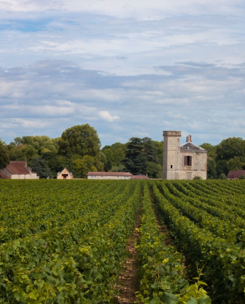 winery with stone building