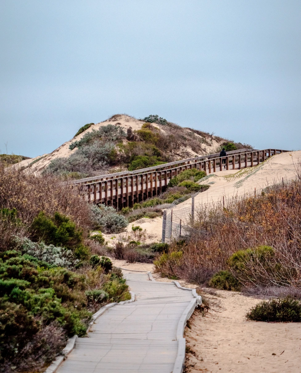 boardwalk next to san dunes during daytime
