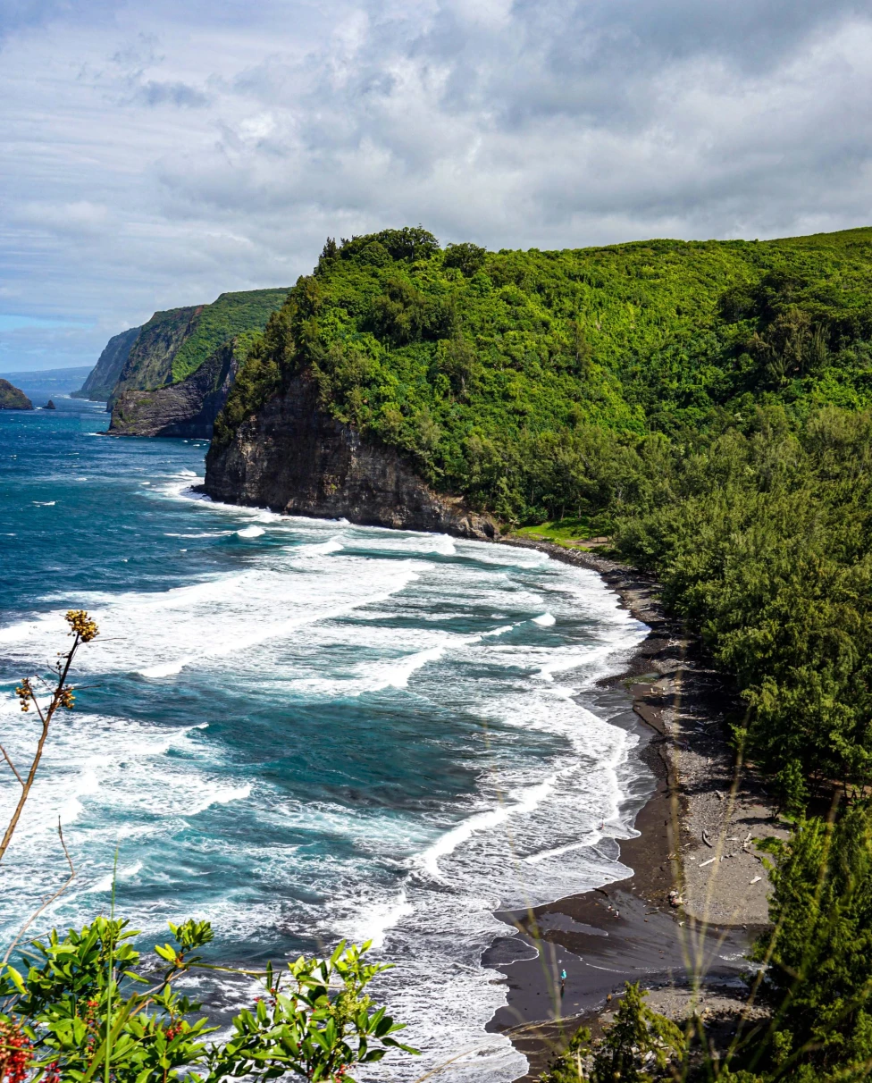 waves crash onto a wild beach with green mountains