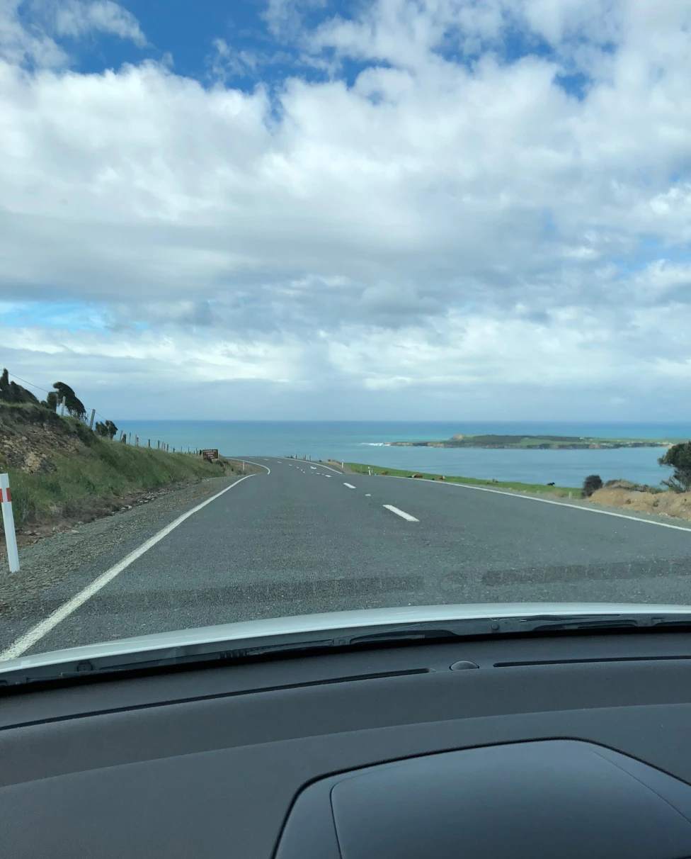 car view of a road in new zealand