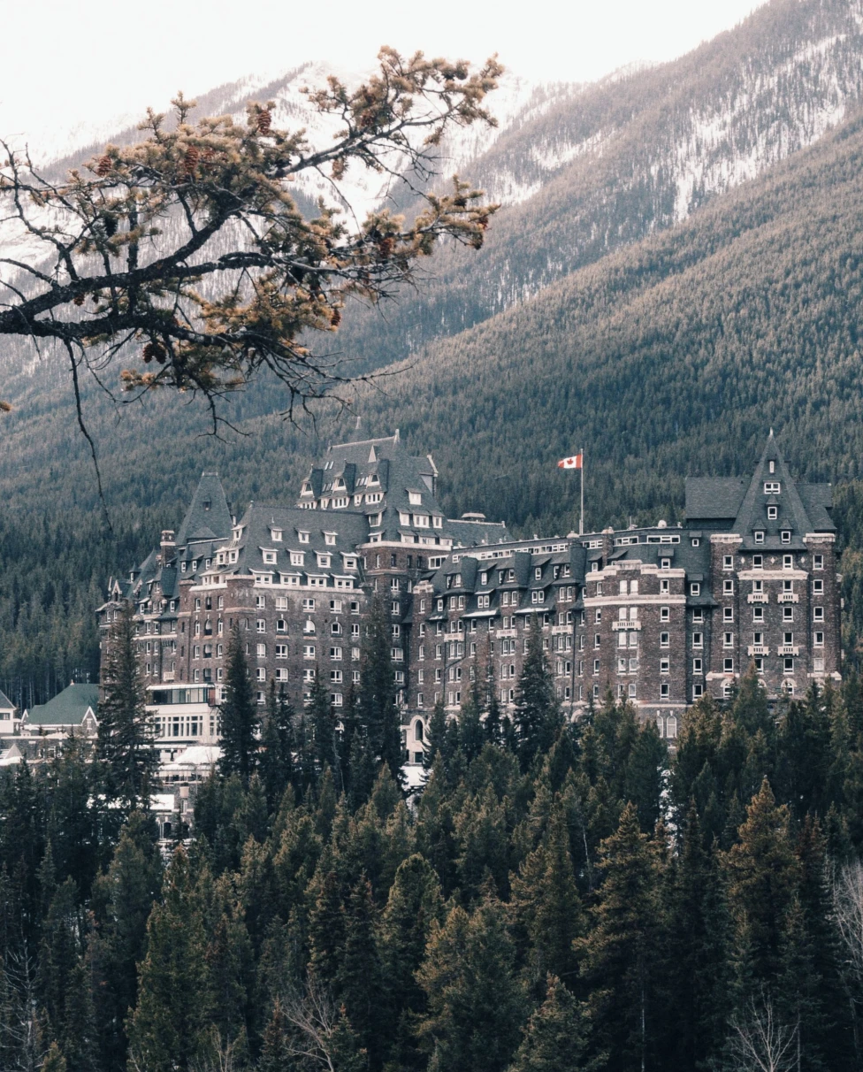 Gray and brown building surrounded by trees at daytime.