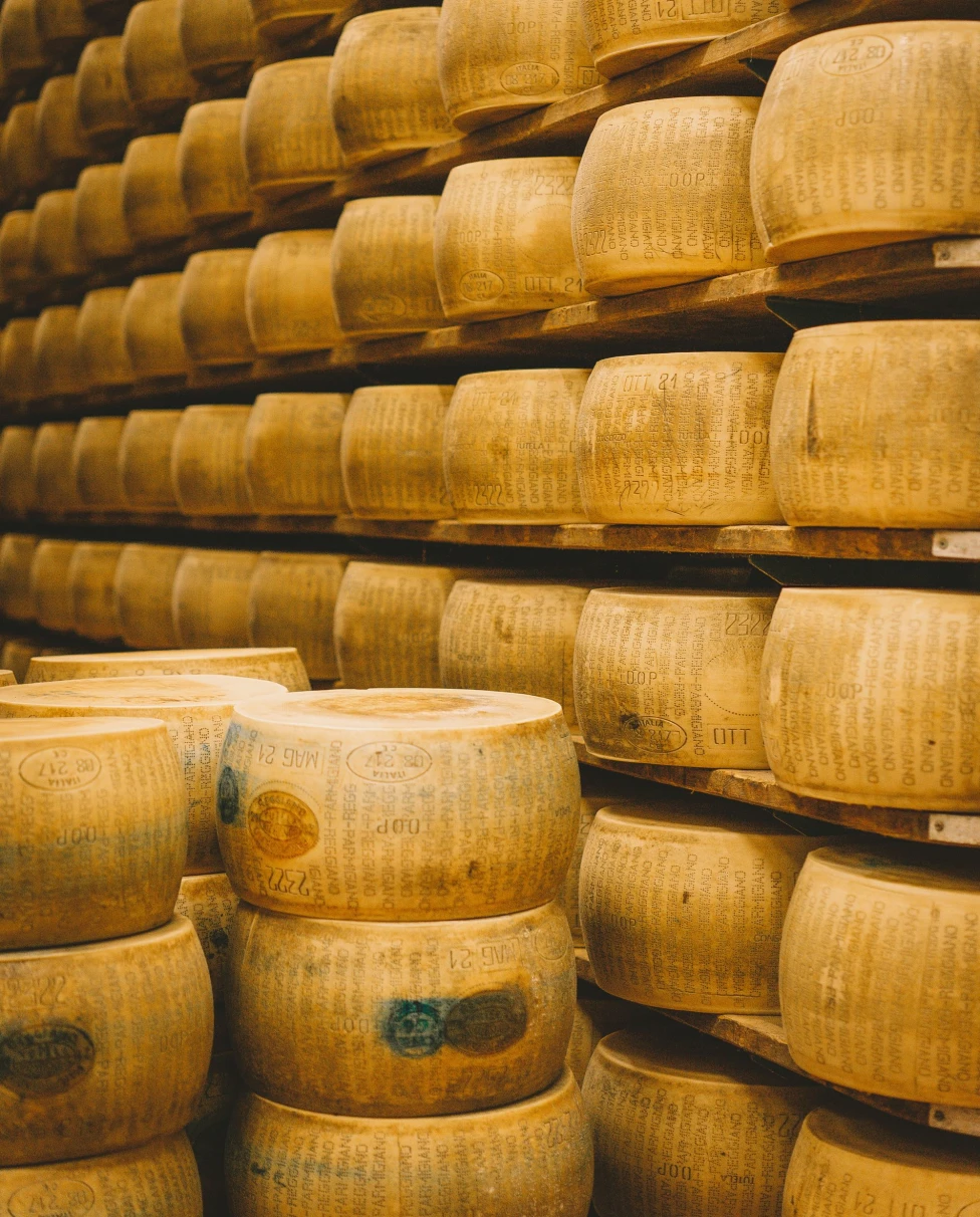 Stacks of pecorino cheese on shelves.