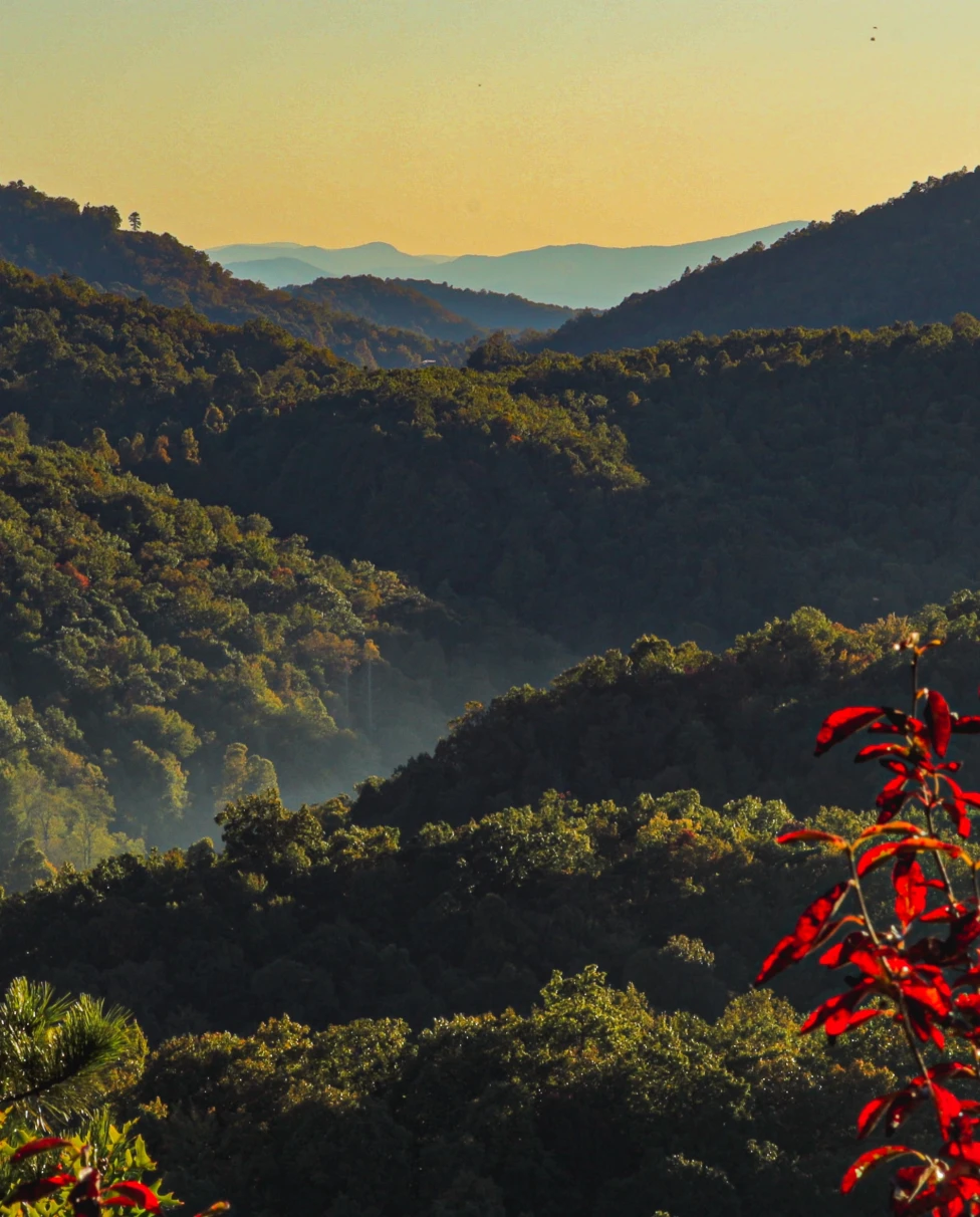 Big view of the mountains in Asheville, NC.