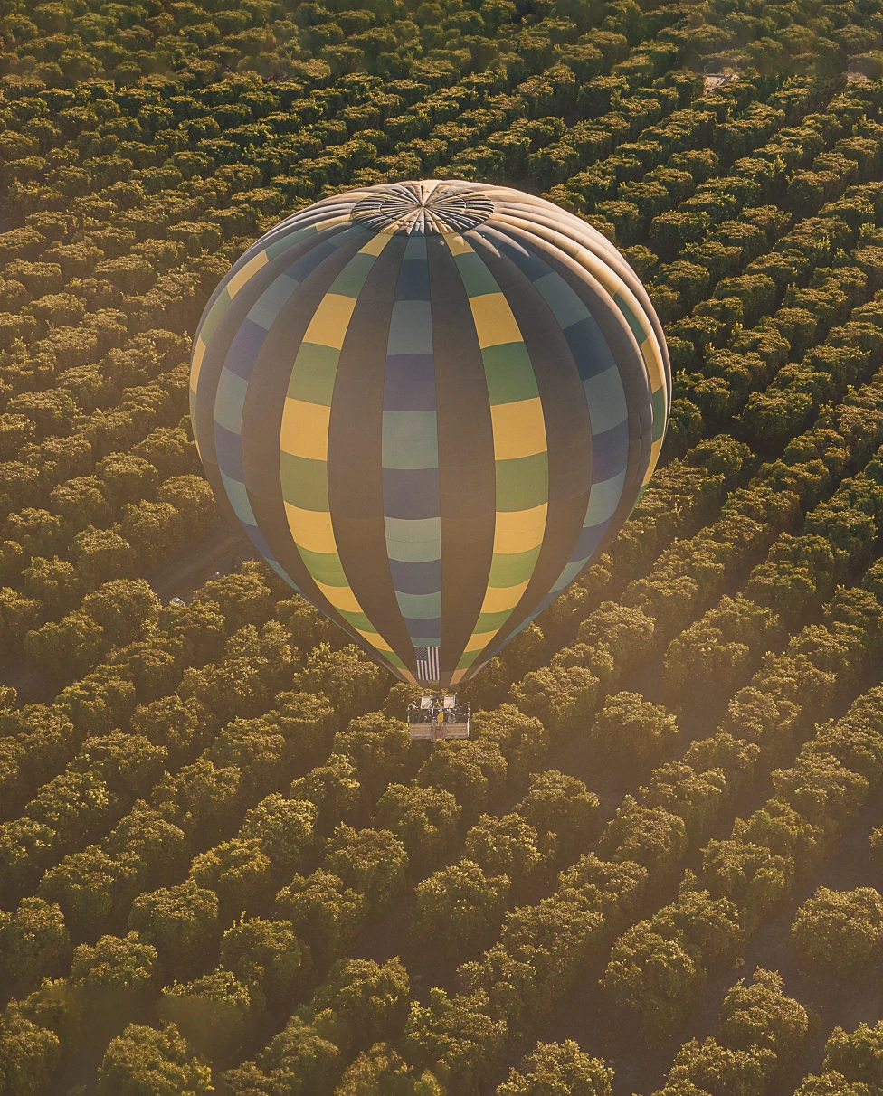 Temecula hot air ballon over vineyards.