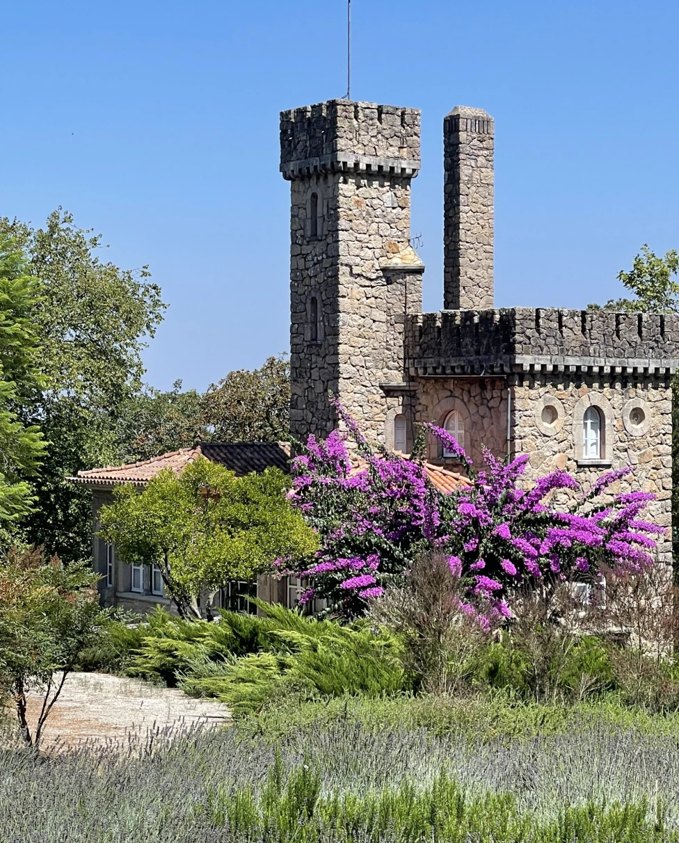 A historical stone tower stands amidst lush greenery and vibrant purple flowers under a clear blue sky.