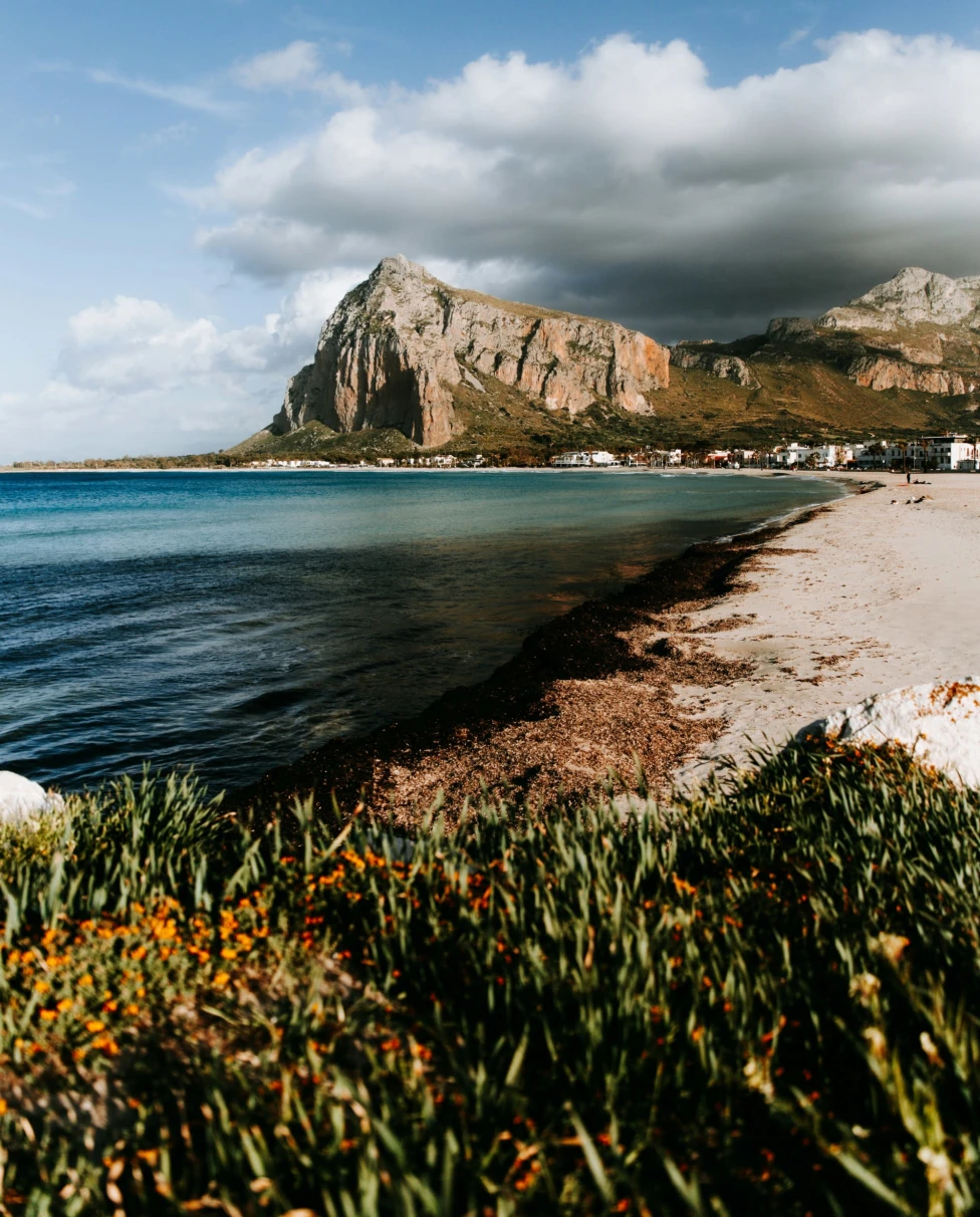 The image showcases a picturesque coastal scene with a mountain backdrop and a beachfront, adorned with local flora.