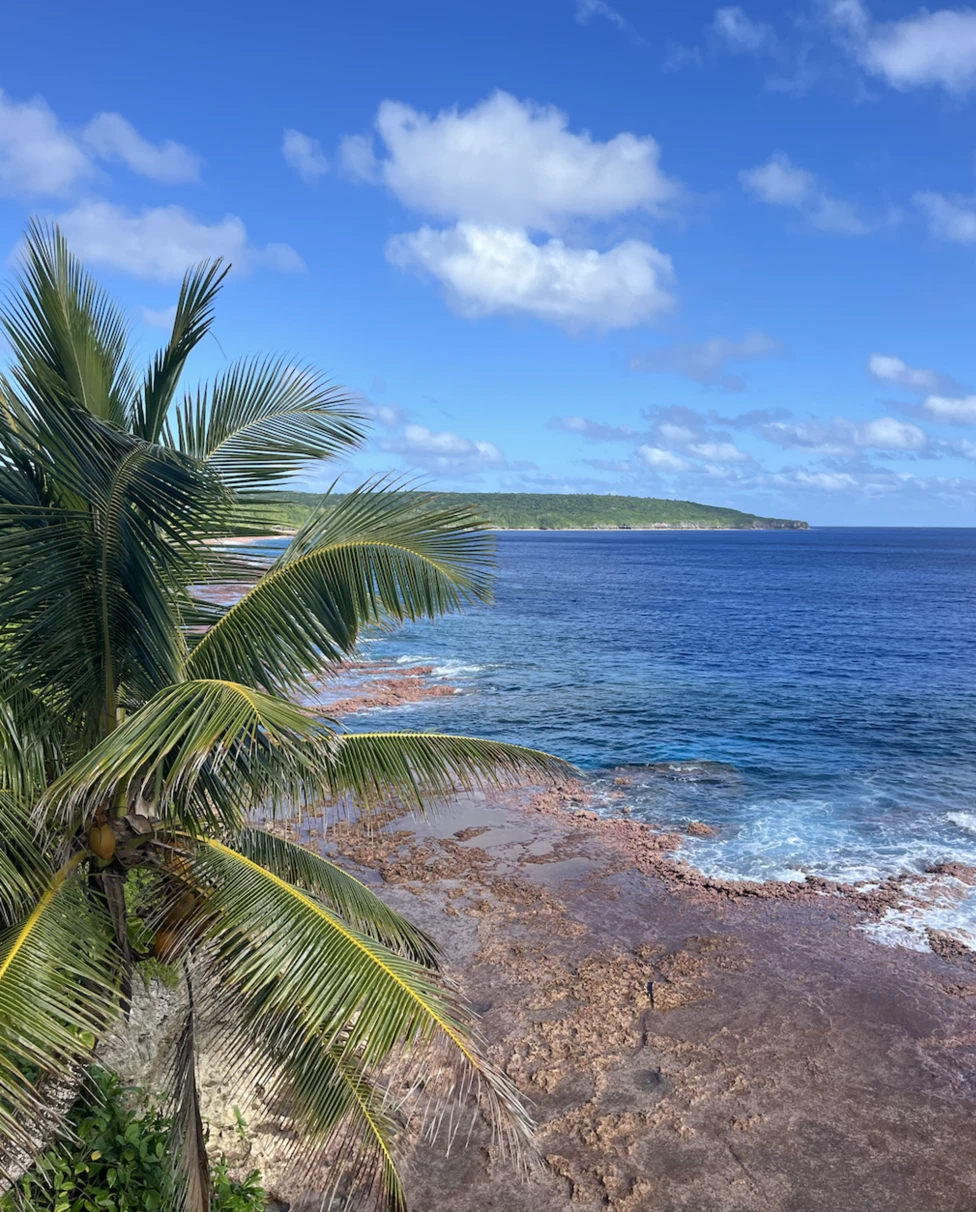 The image shows a coastal landscape with a palm tree in the foreground, a sandy beach with calm waves and a clear blue sky above.