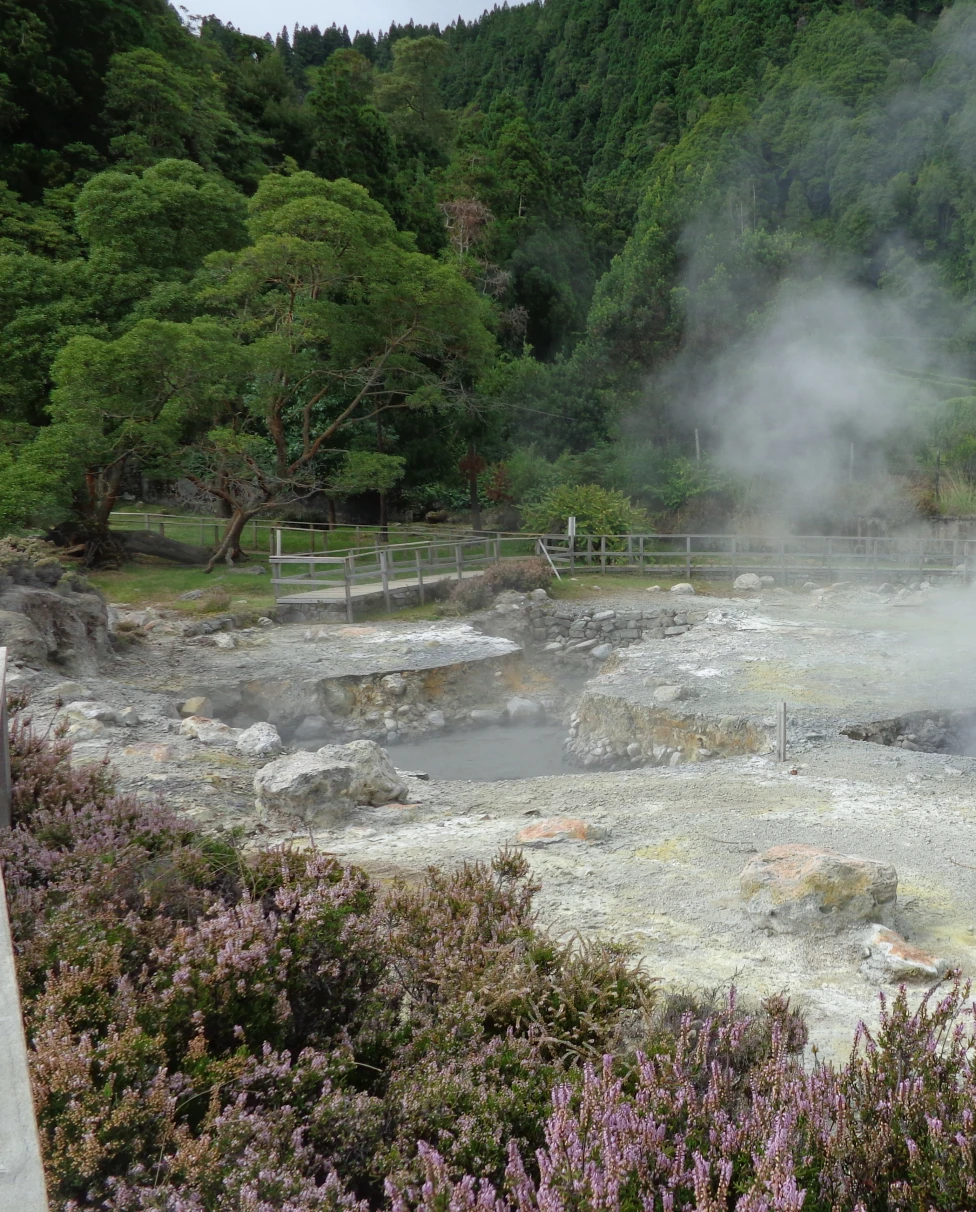 day 3, Antigo Pomar das Caldeiras da Lagoa das Furnas