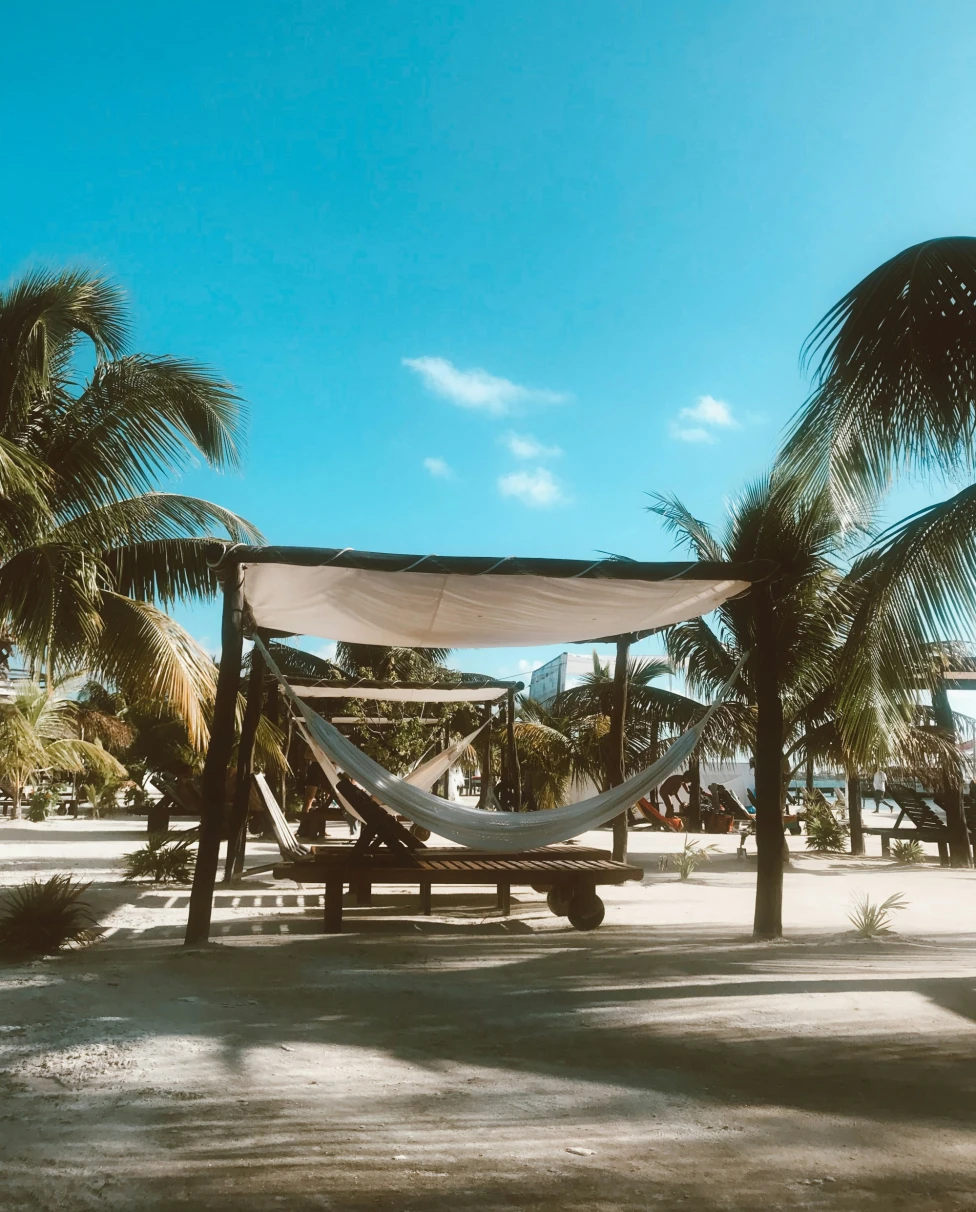 A picture of a white hammock with sun loungers under a canopy tied to the palm trees near the beach.