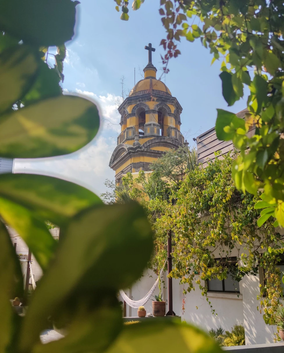 old church through trees in sunshine