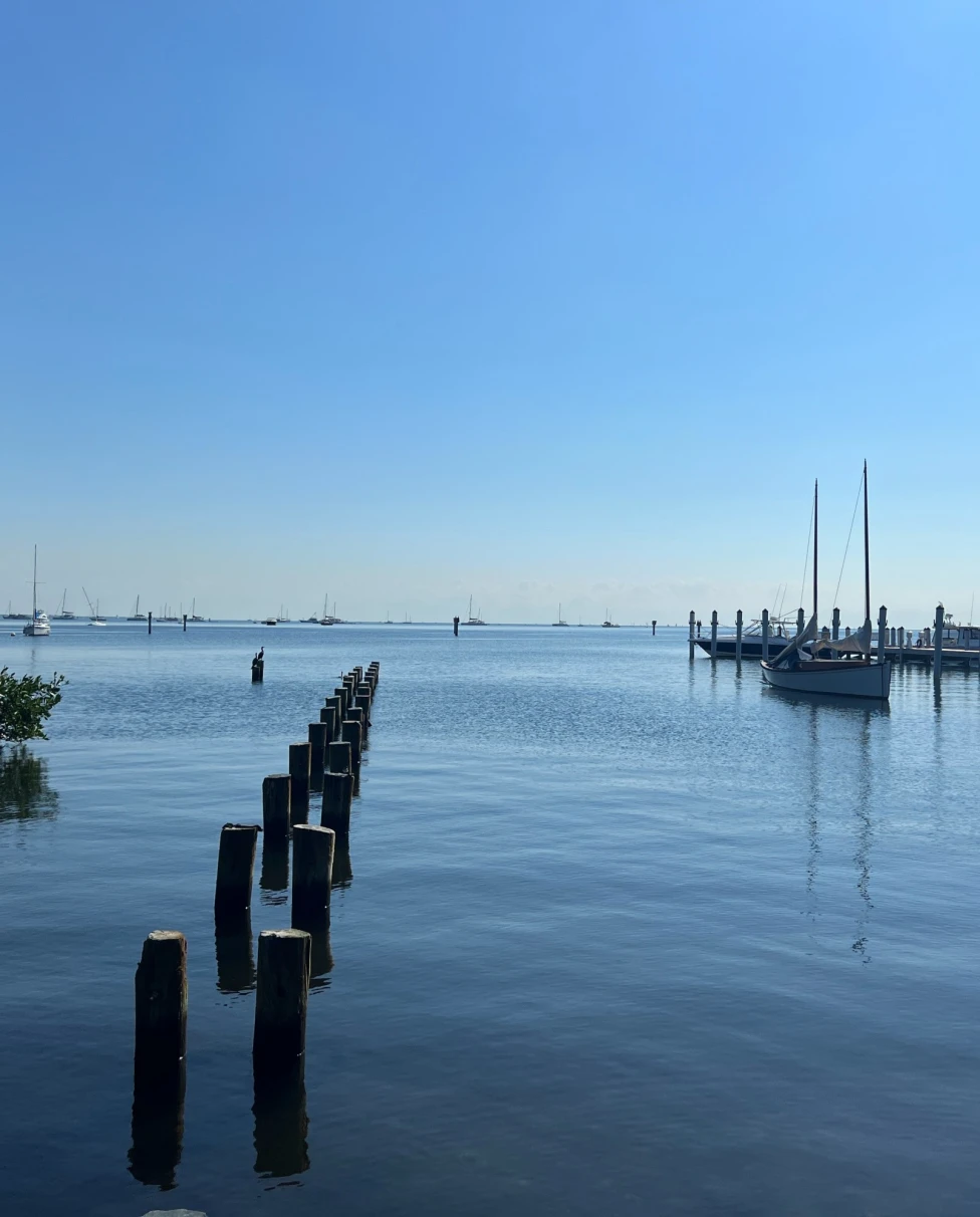 A body of water with boats docked by a pier