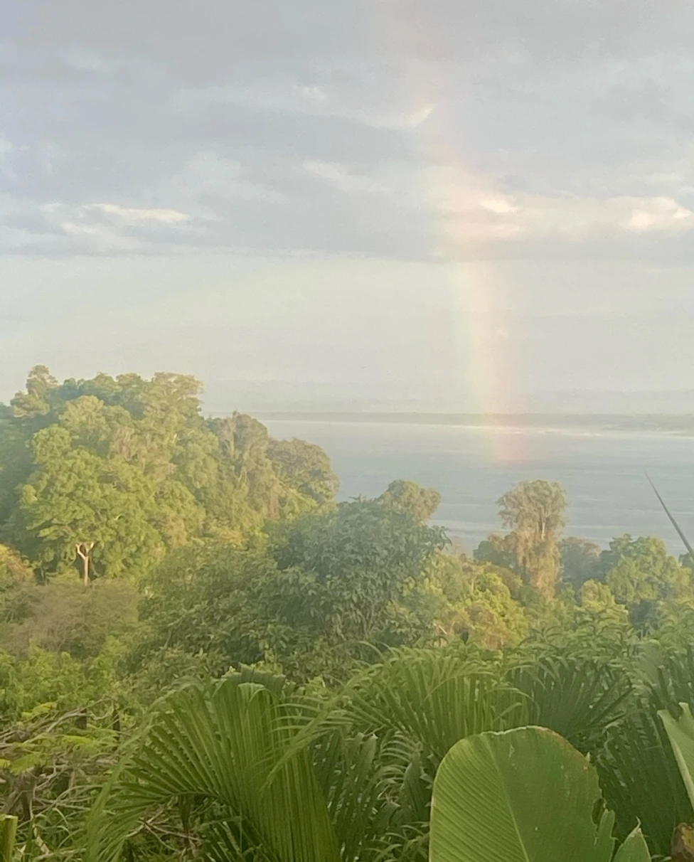 Rainbow over a lush green forest and ocean with clouds overhead