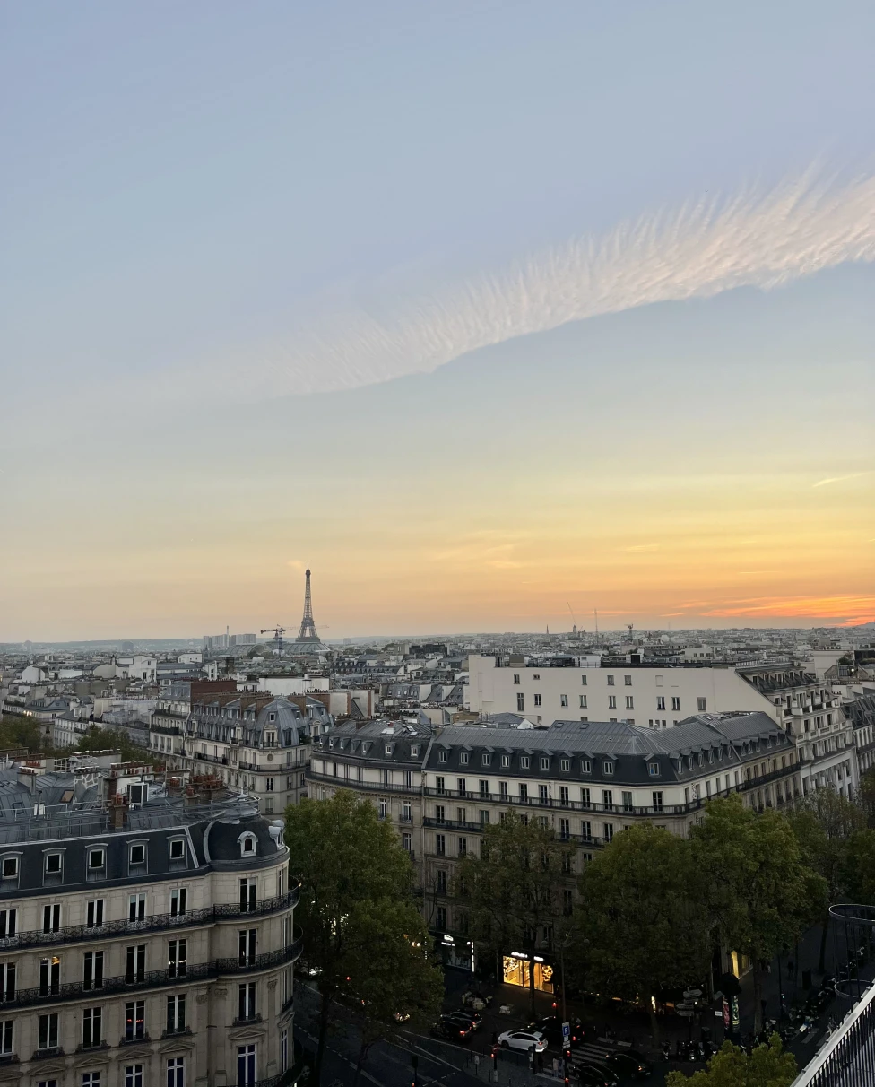 Perruche views – view of the tops of buildings at sunset