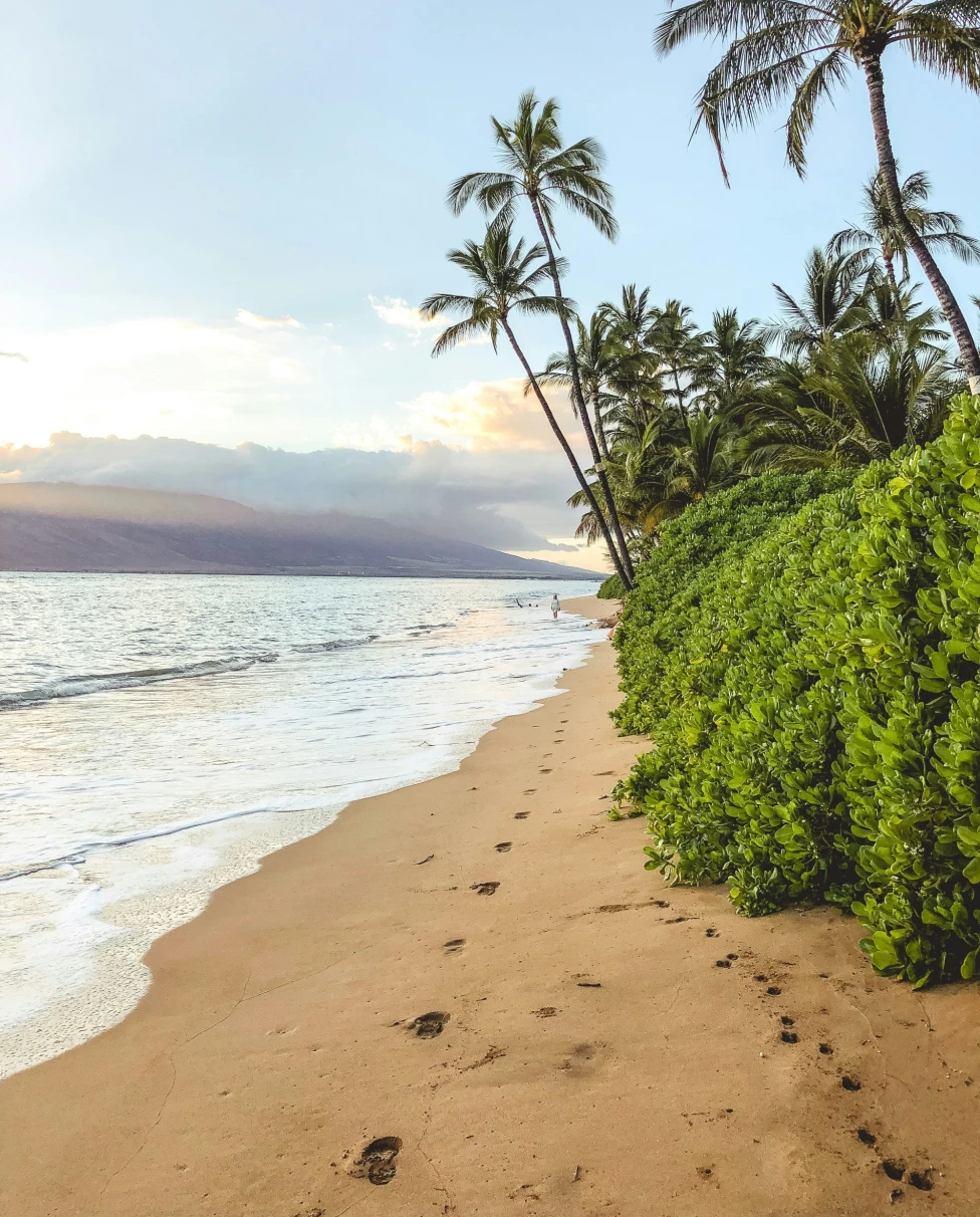 A picture of the beach during daytime