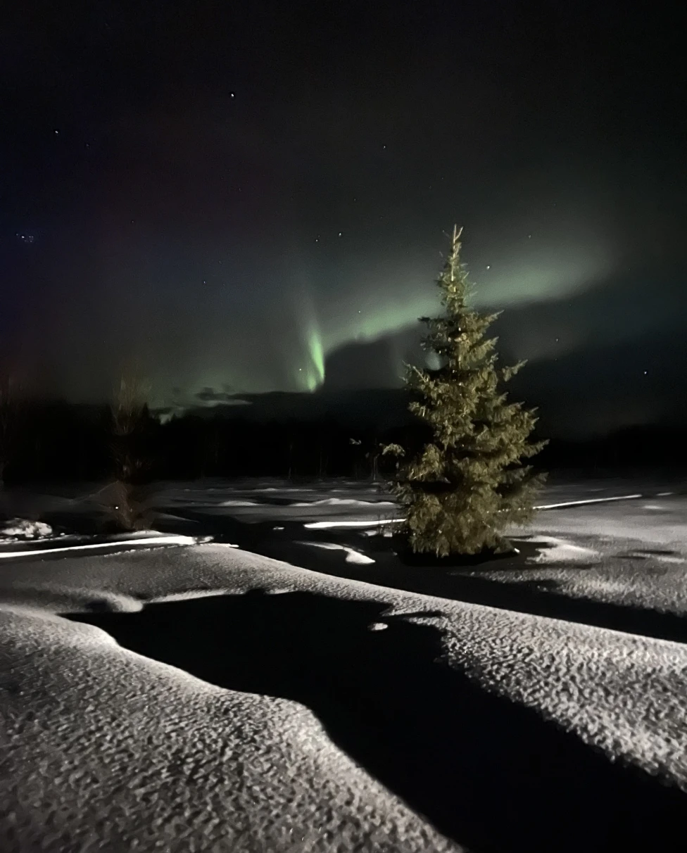 view of the green northern lights over a snow landscape at night