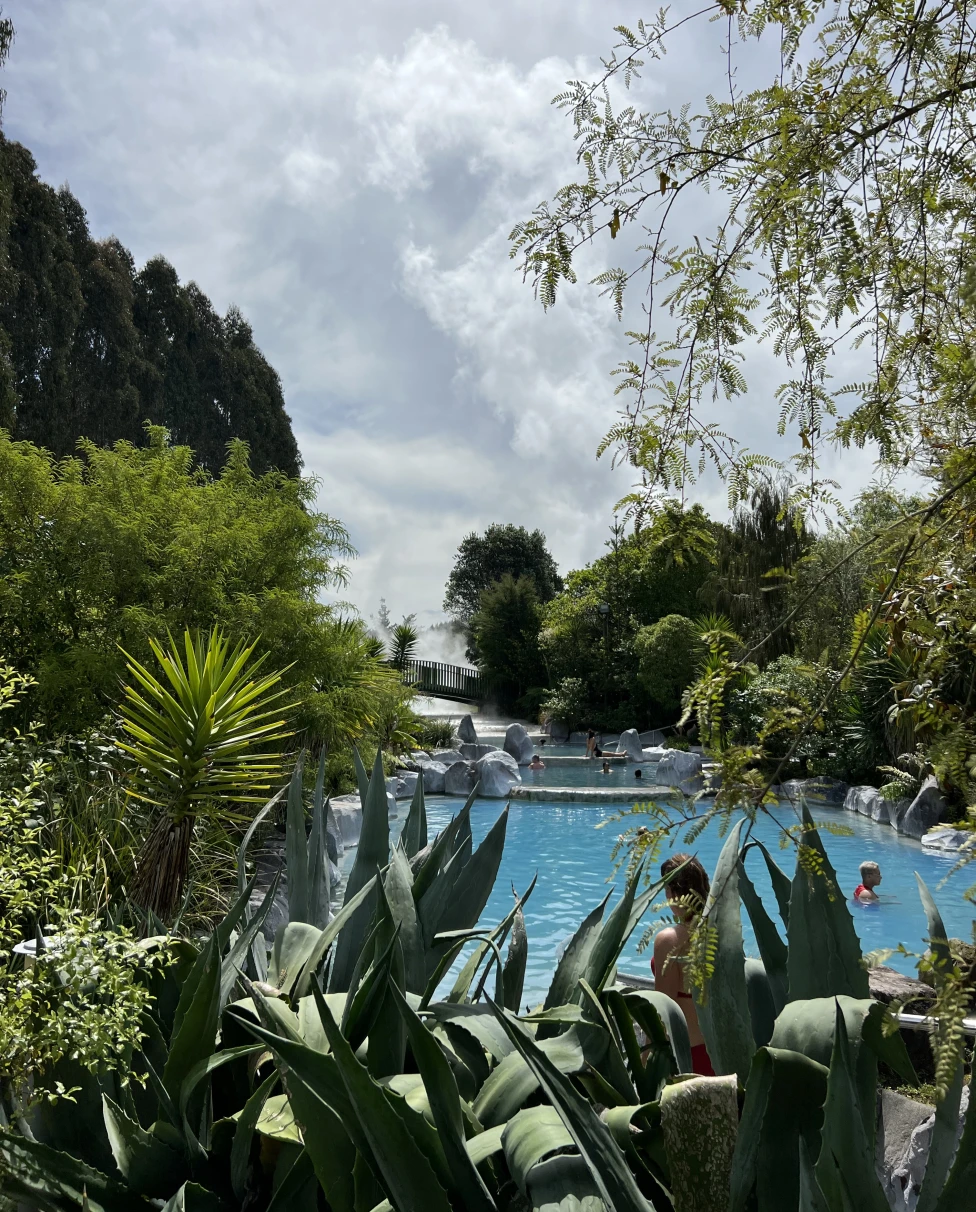 Thermal spa at Wairakei Terraces, with a pool behind cacti and trees in the foreground.