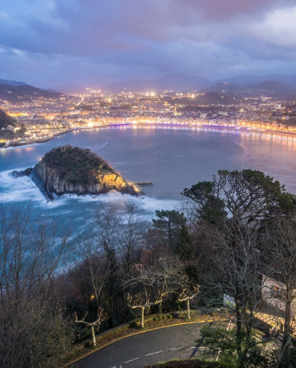 A landscape of buildings and trees near the seashore