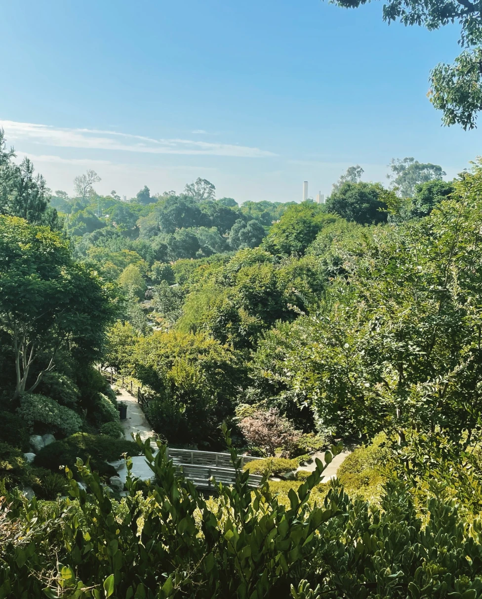 Park with covered with green trees.