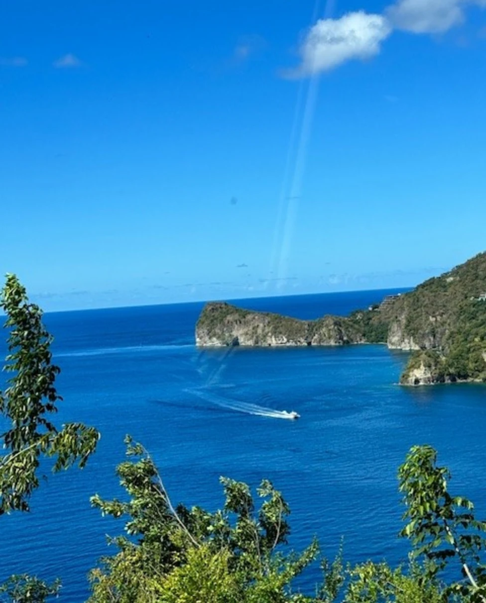 A scenic view of a blue sea with a boat creating a wake, framed by green foliage and cliffs under a clear sky.