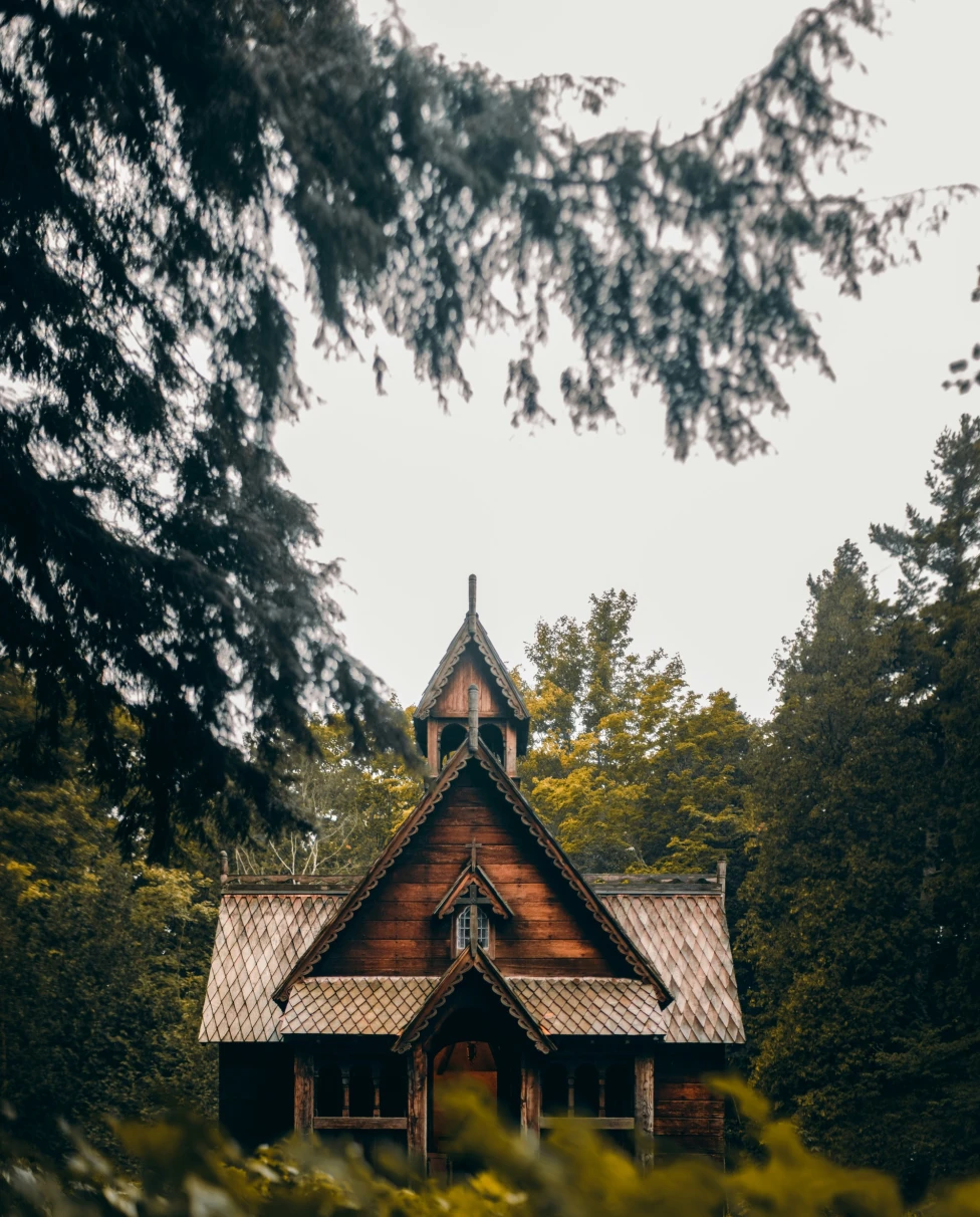 A humble wooden cabin in the forest on a sunny day.