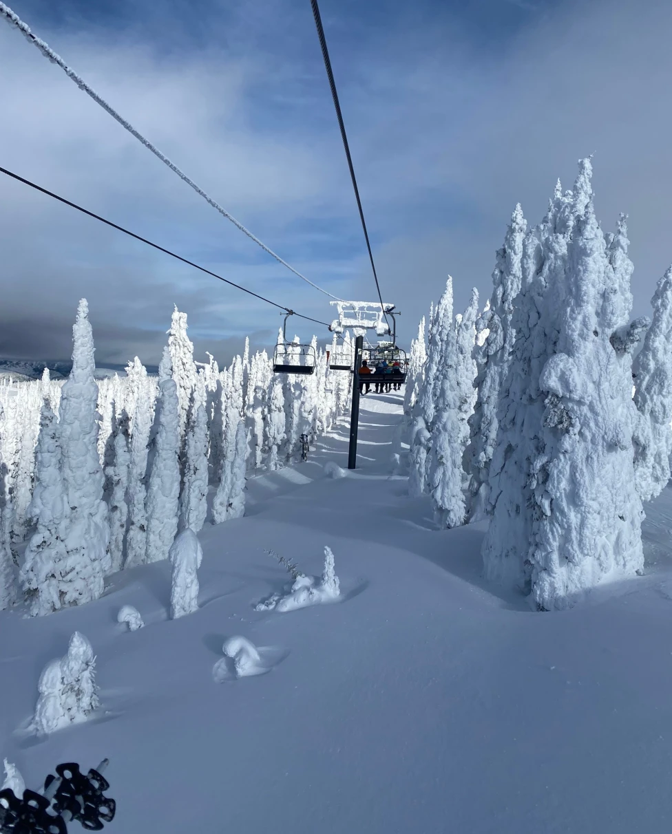 A view of snowy terrain and snow covered trees from a ski lift.