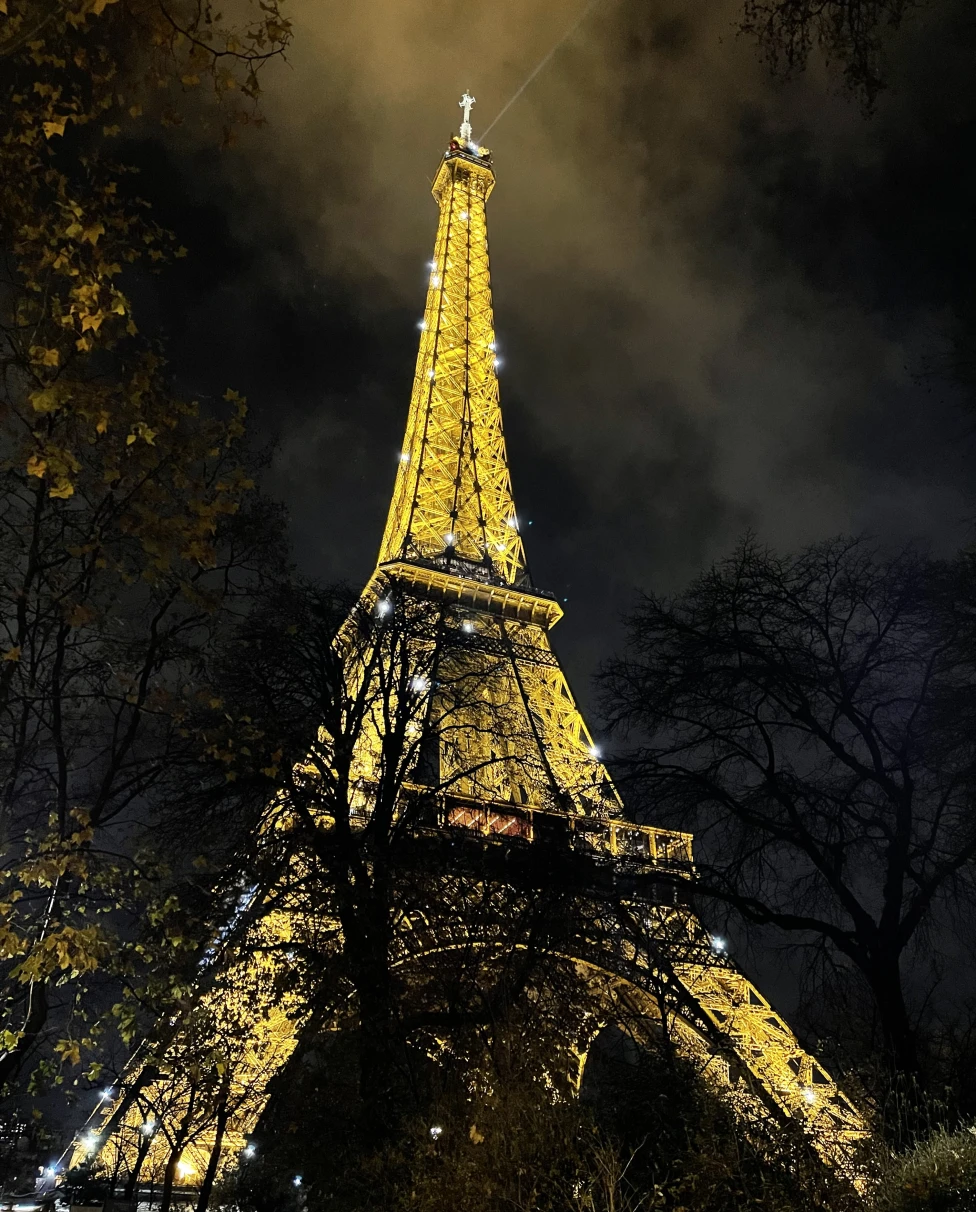 Eiffel tower in the night