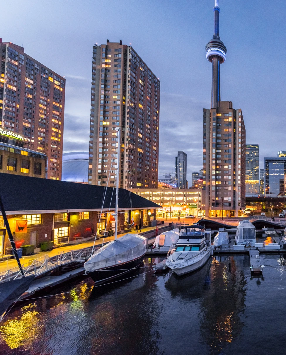 Toronto coast skyline at nighttime.