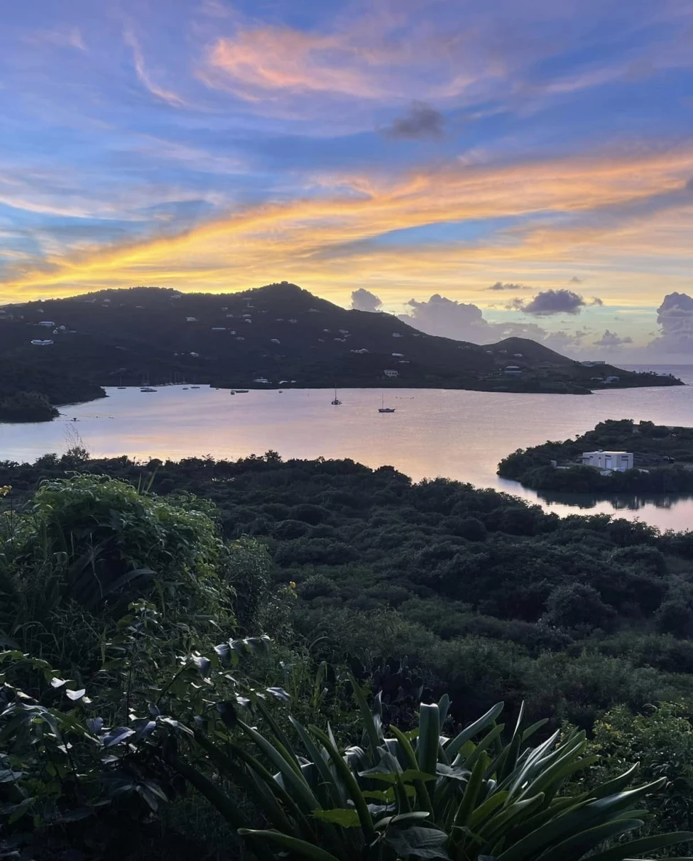 beautiful views green places and an island