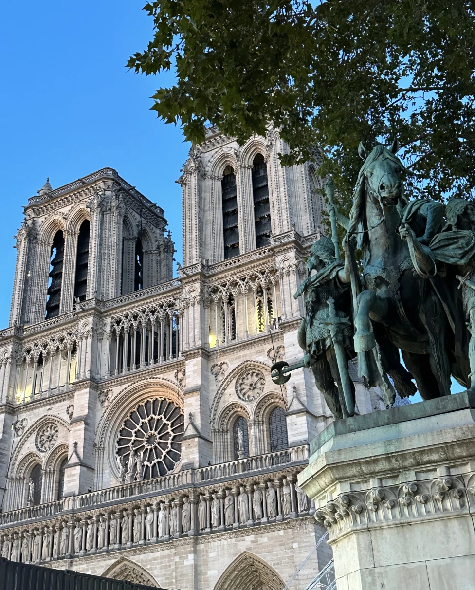 A view from the bottom of the exterior of Notre Dame with a tree in front.