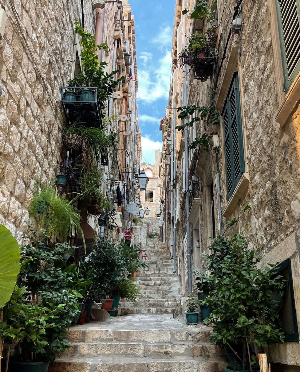 Narrow alleyway and stairway in Dubrovnik with plant pots and street lamps.