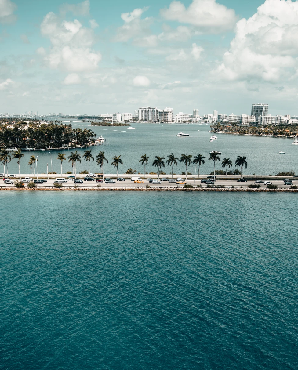 An island with a bunch of palm trees.