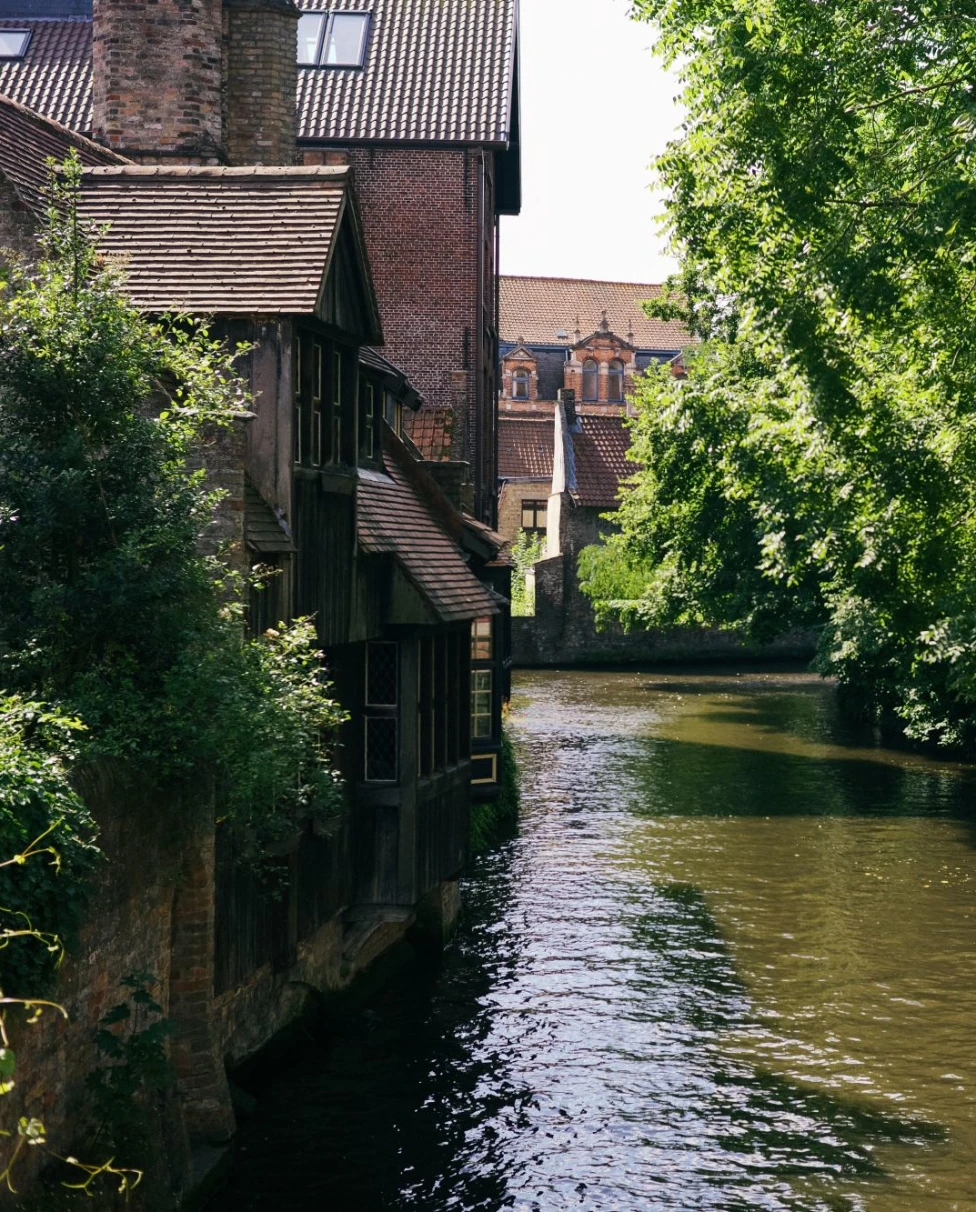 A river running through a small town surrounded by trees.