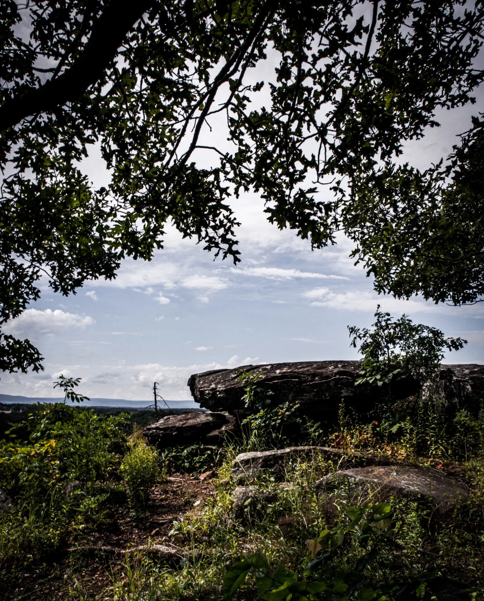 a green field at an old military base