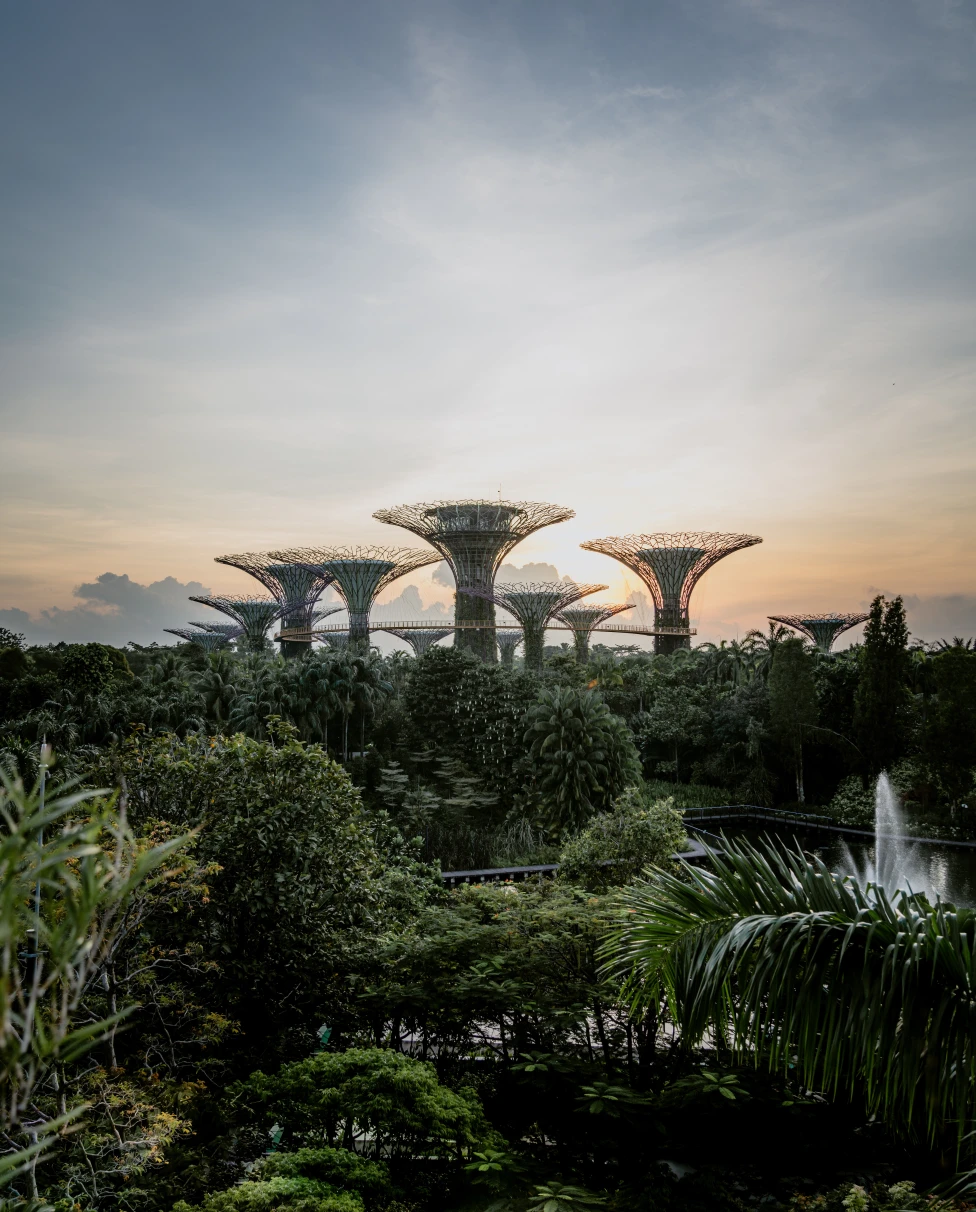 Tall sculptures surrounded by trees during daytime