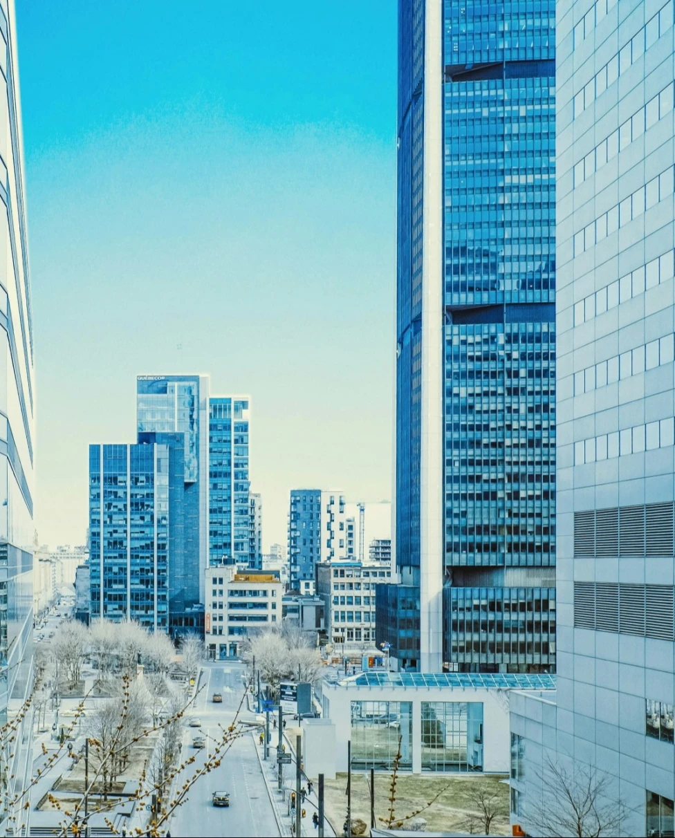 A city view looking onto skyscrapers in the distance on a sunny day.