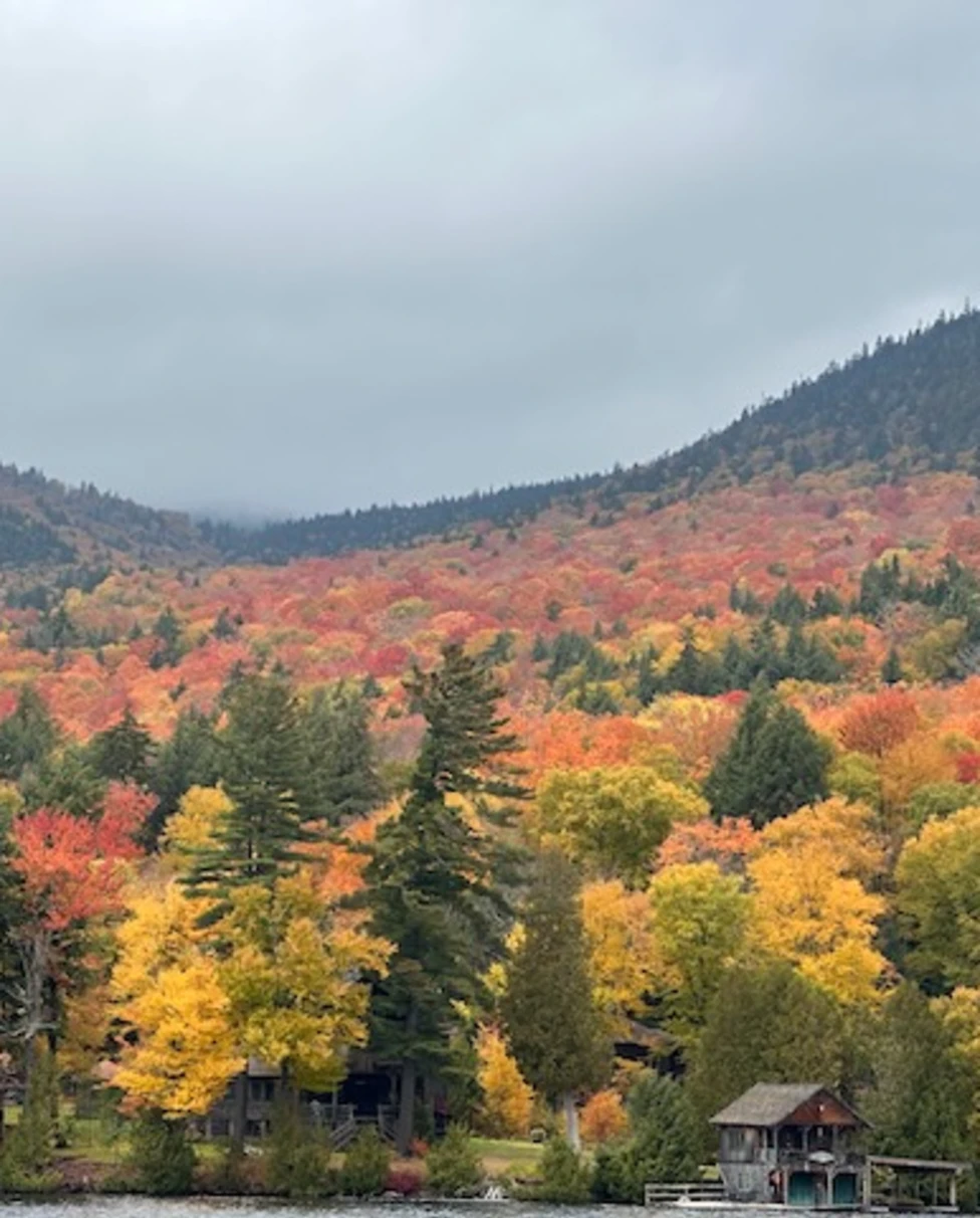 An aerial view of colorful fall trees.