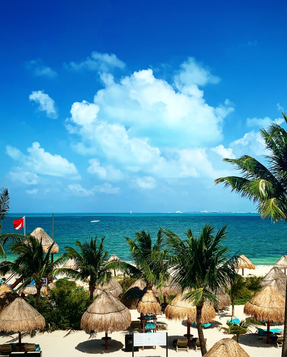 Lounge chairs and straw umbrellas with palm trees and the ocean in the distance with clouds in the sky