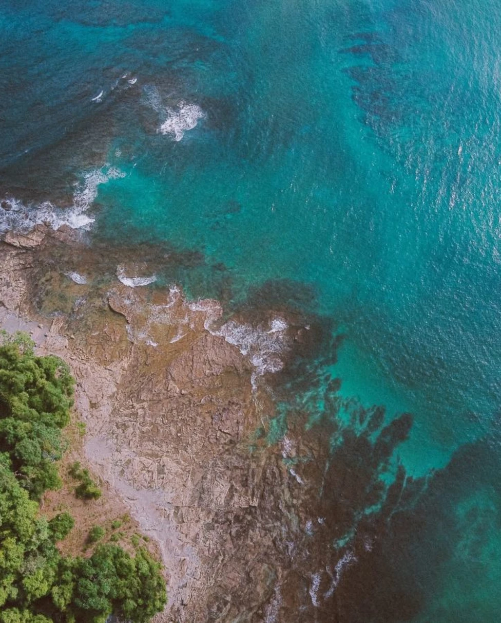 aerial view of a jungle beach near blue ocean